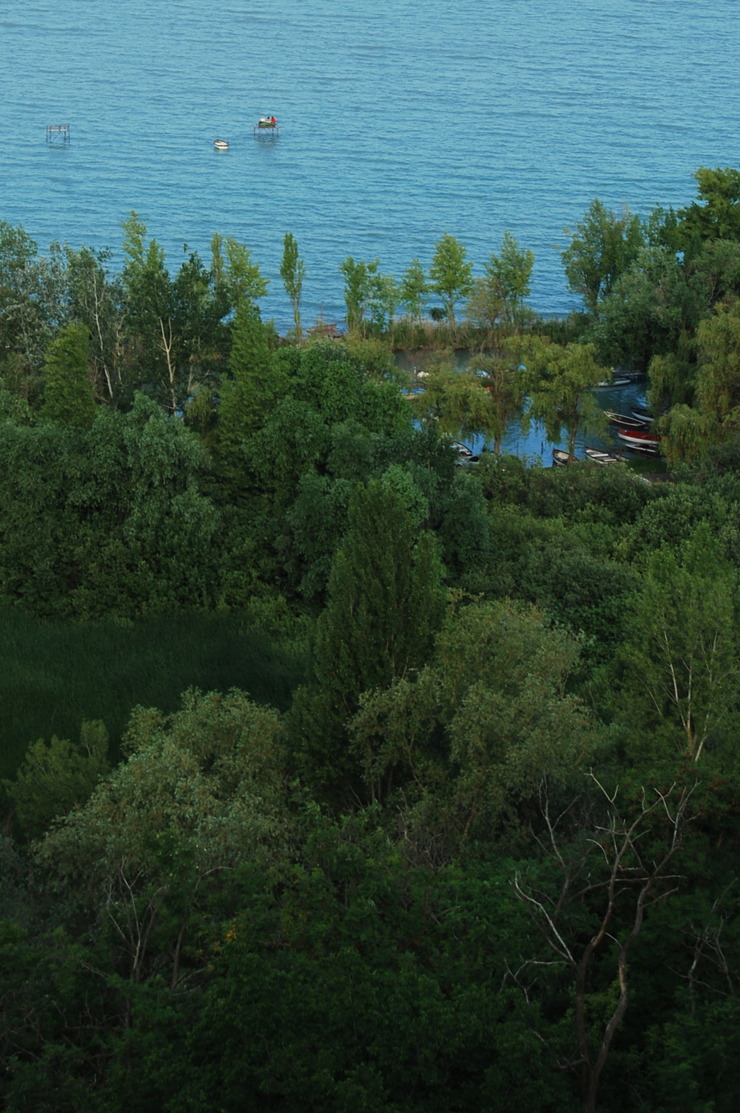 20130629 005 Balaton