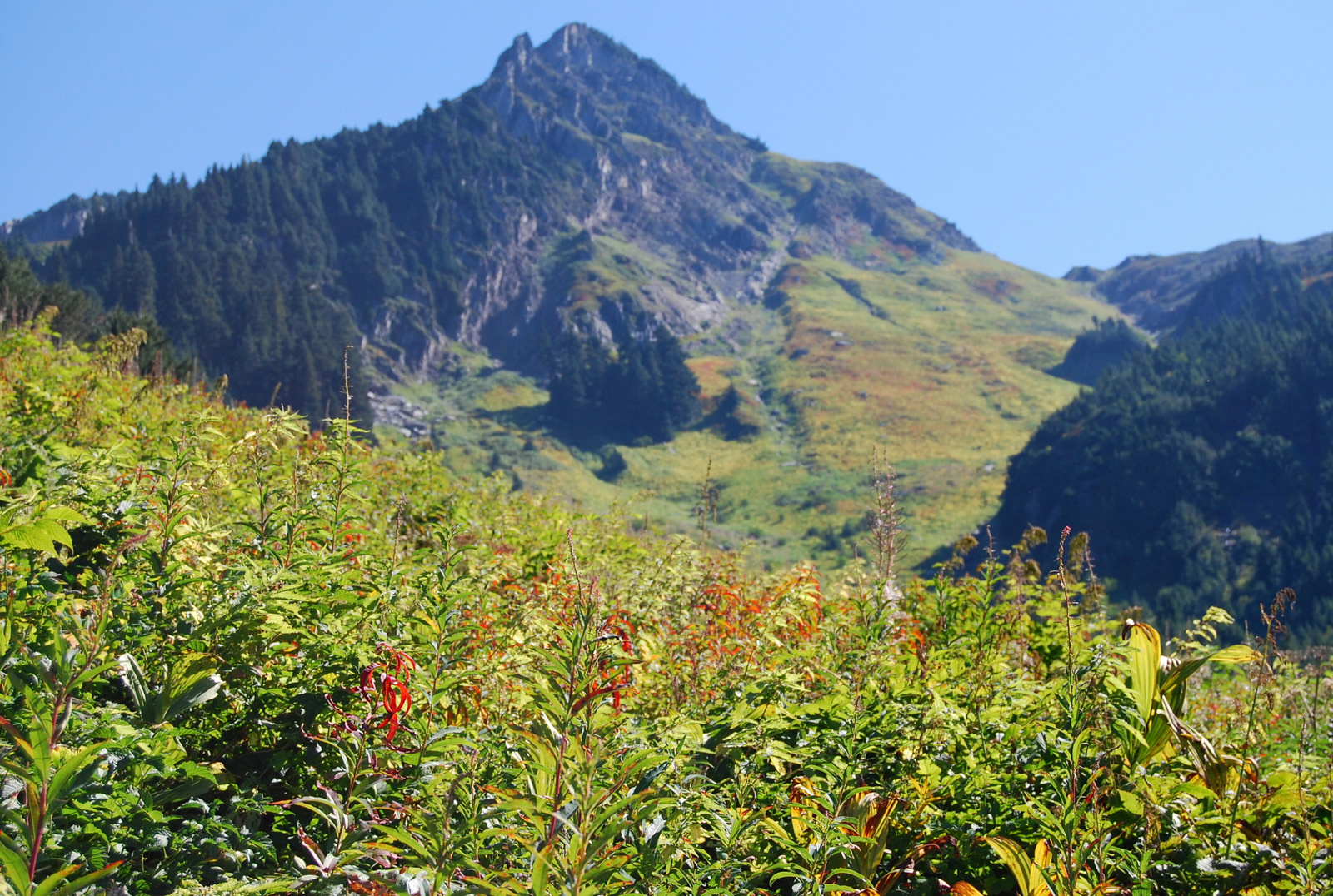 US13 0913 004 Hidden Lake Trail, North Cascades NP, WA