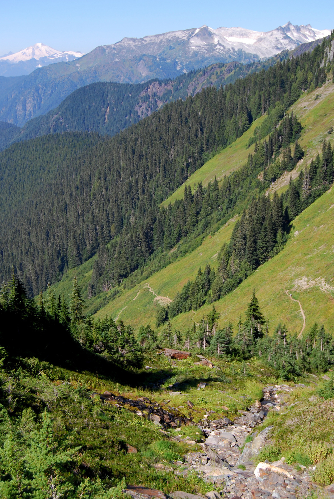 US13 0913 015 Hidden Lake Trail, North Cascades NP, WA