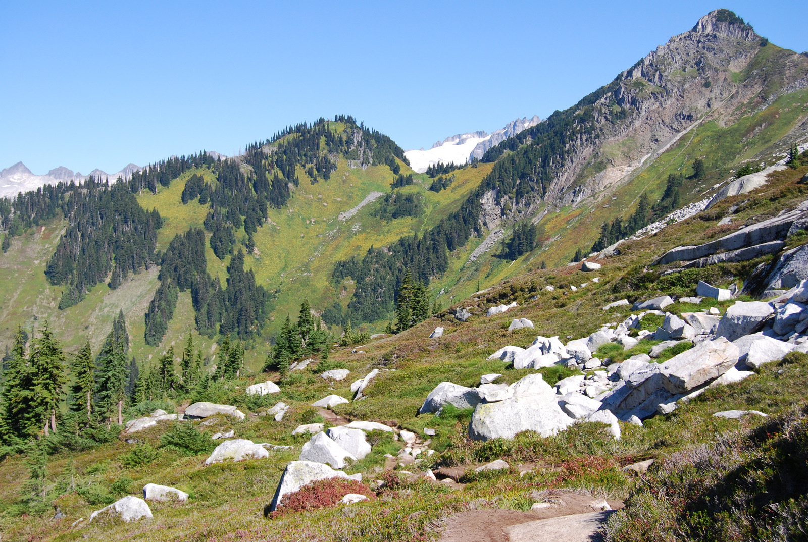 US13 0913 020 Hidden Lake Trail, North Cascades NP, WA