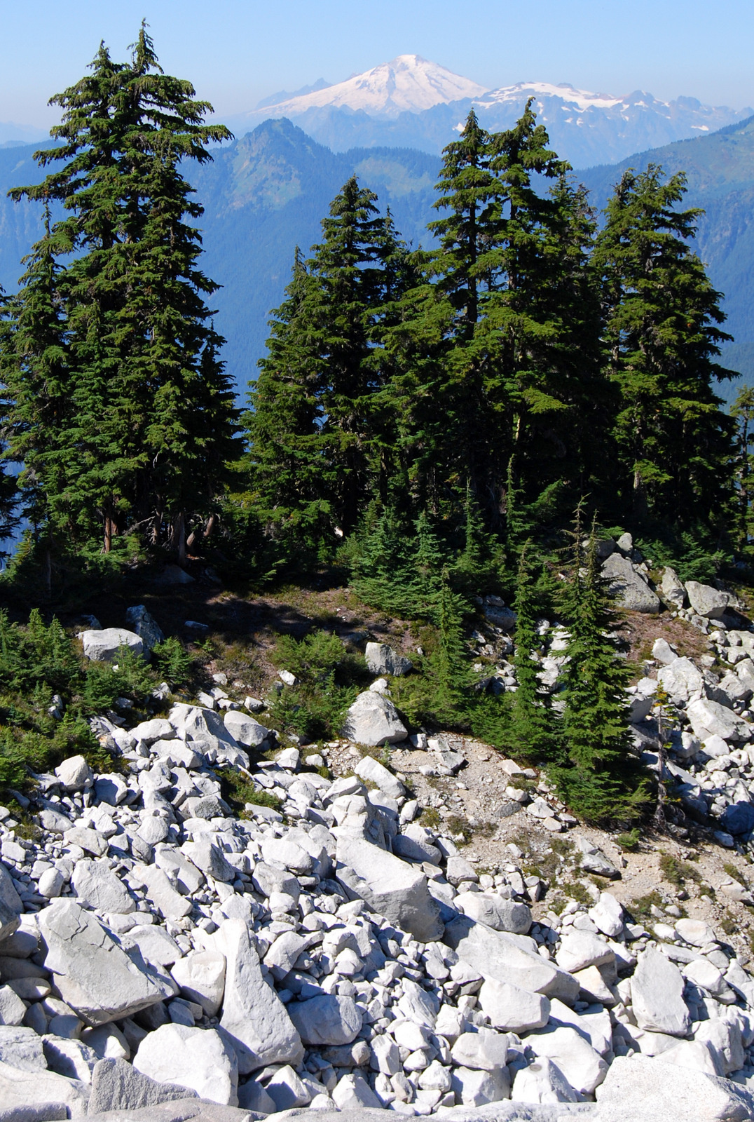 US13 0913 027 Hidden Lake Trail, North Cascades NP, WA