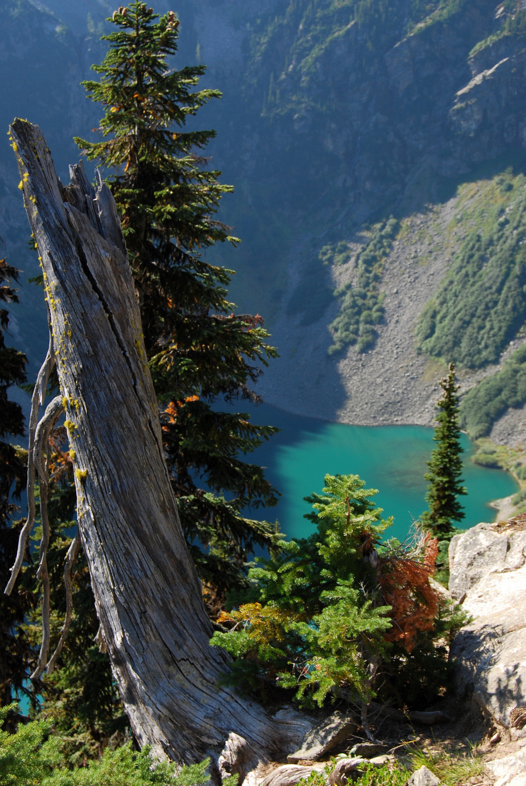 US13 0914 005 Maple Loop Trail, North Cascades NP, WA