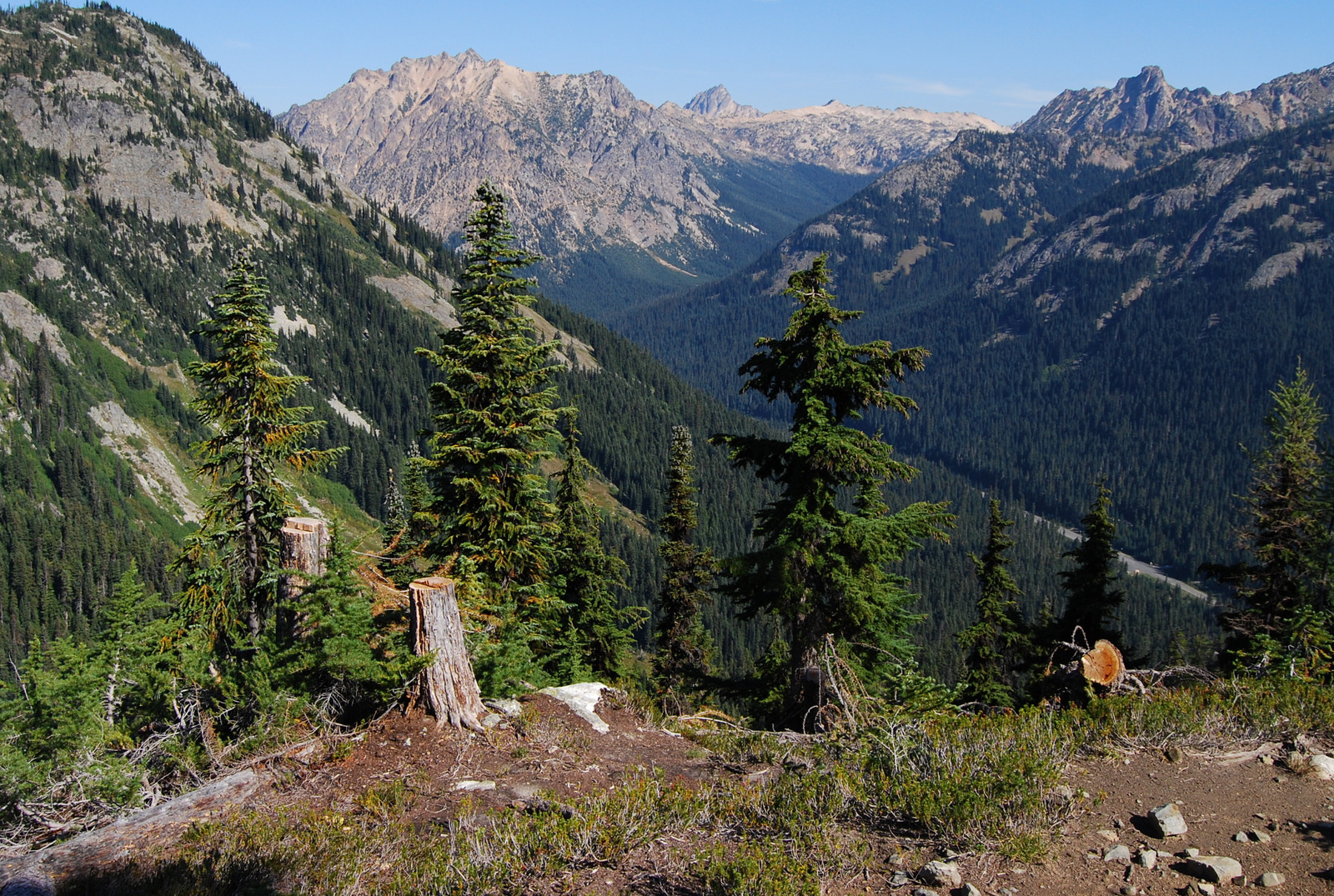 US13 0914 015 Maple Loop Trail, North Cascades NP, WA