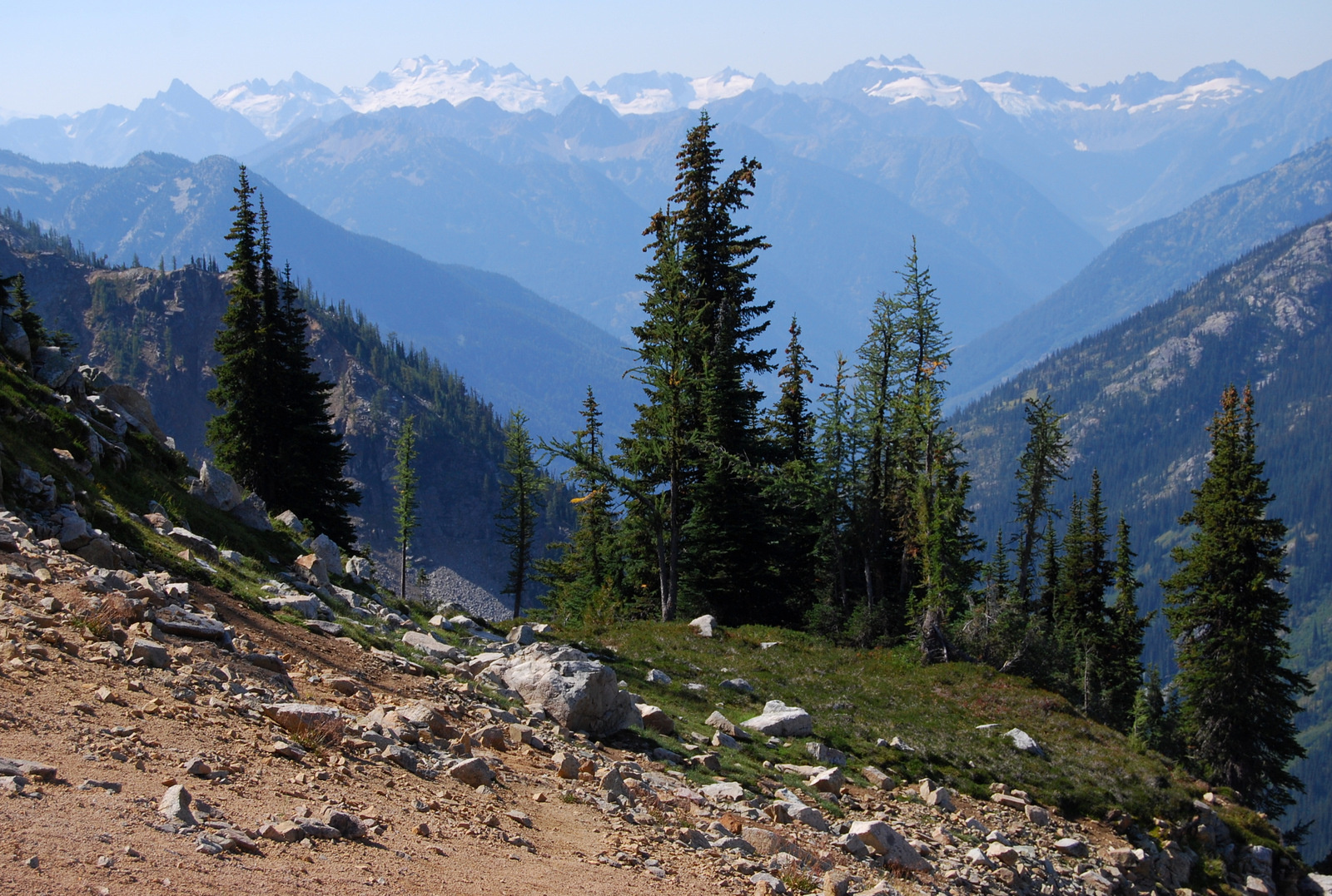 US13 0914 043 Maple Loop Trail, North Cascades NP, WA