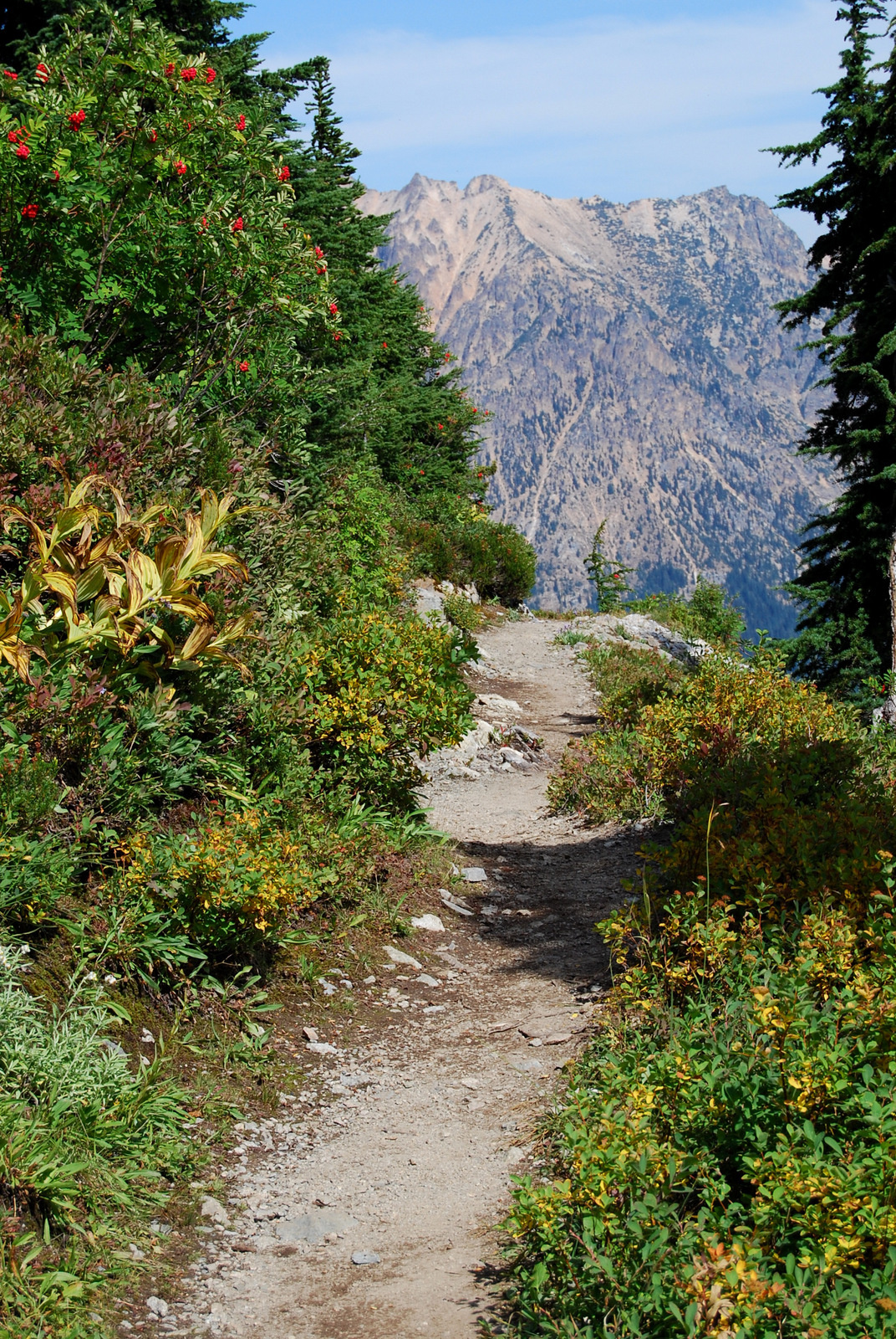 US13 0914 055 Maple Loop Trail, North Cascades NP, WA