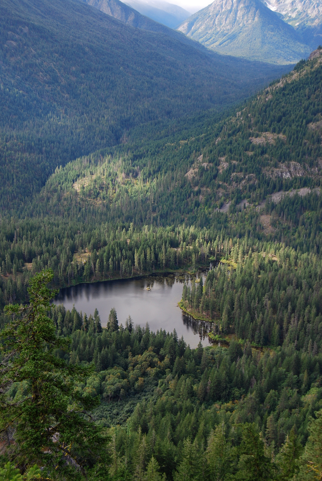 US13 0916 014 McGregor Mtn Trail, Stehekin Valley, WA