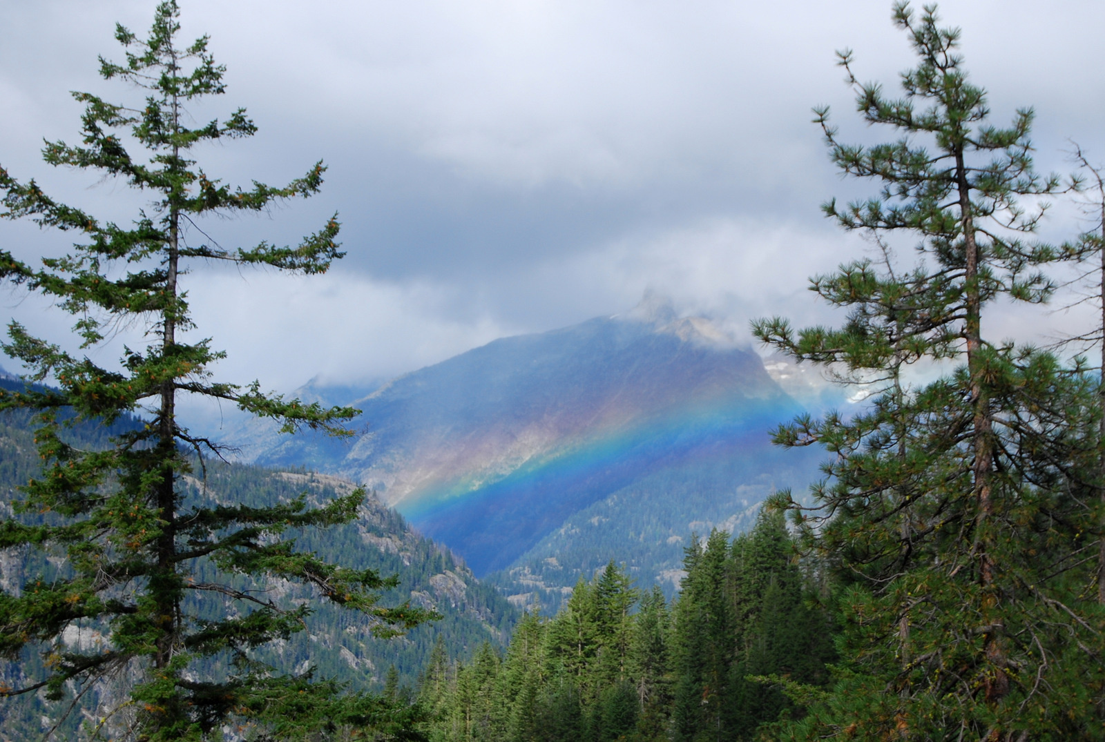 US13 0916 015 McGregor Mtn Trail, Stehekin Valley, WA