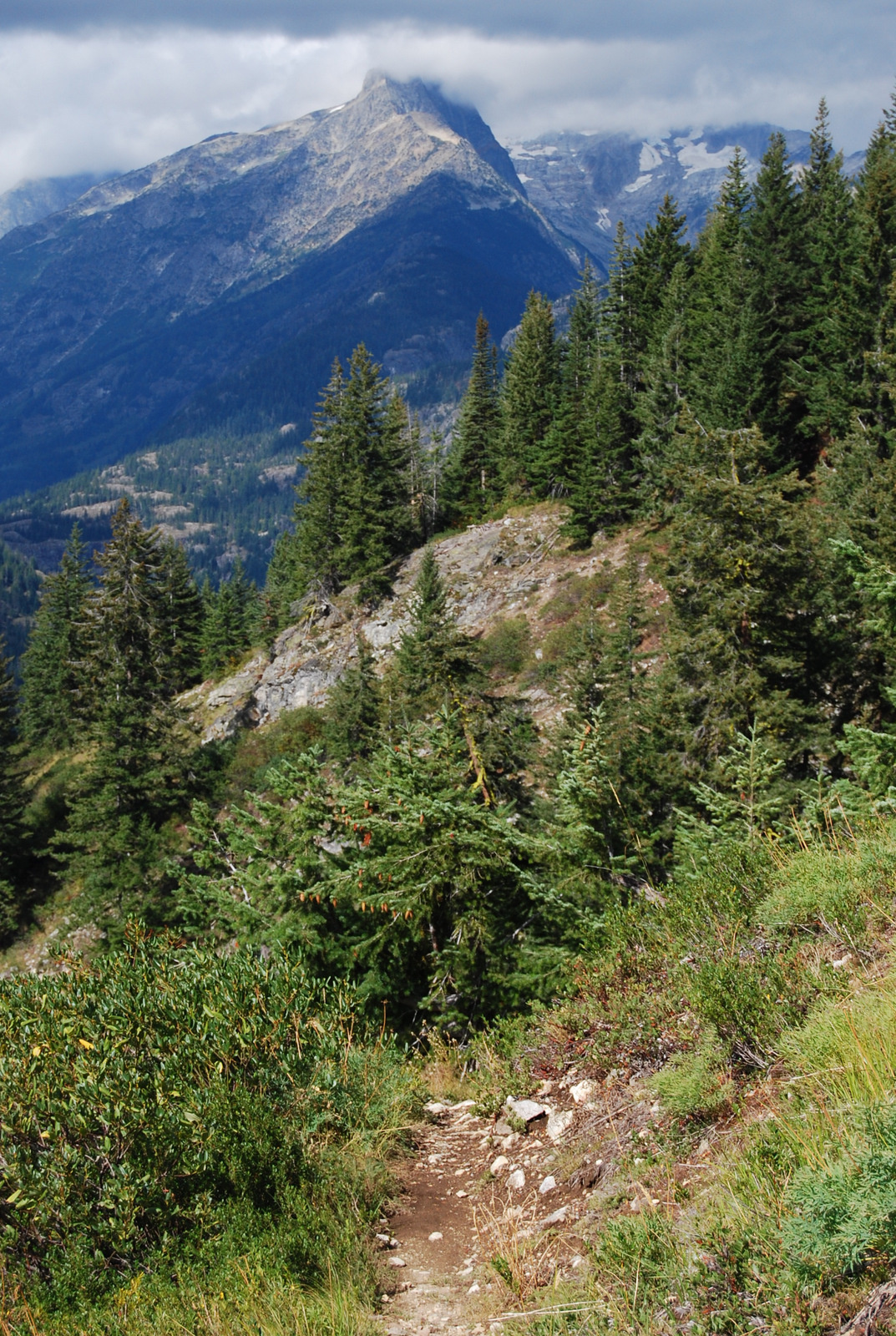 US13 0916 019 McGregor Mtn Trail, Stehekin Valley, WA