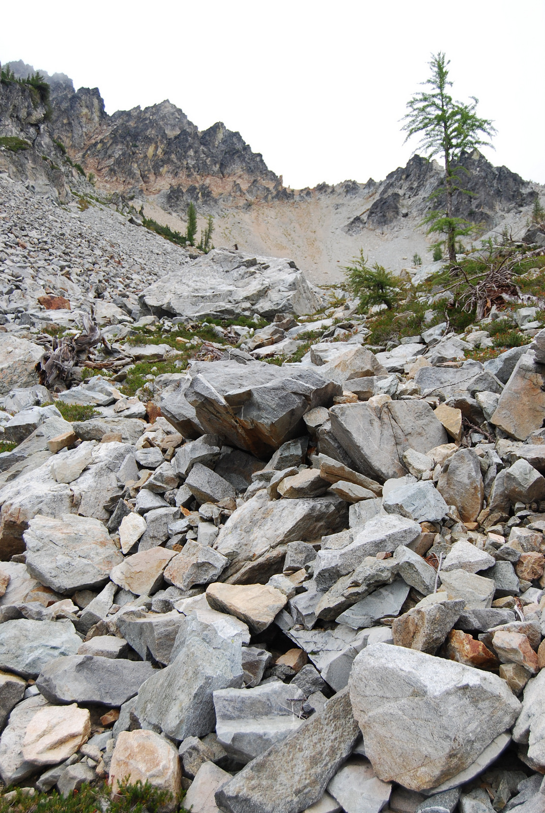 US13 0916 028 McGregor Mtn Trail, Stehekin Valley, WA