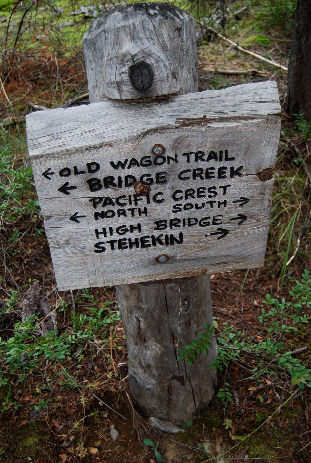 US13 0916 037 McGregor Mtn Trail, Stehekin Valley, WA