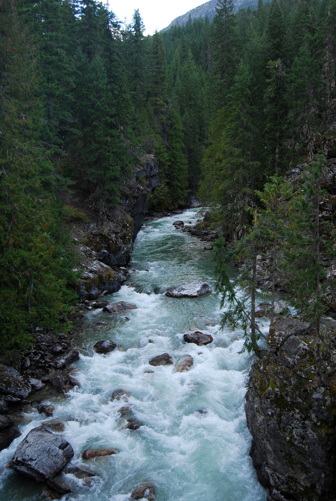 US13 0916 043 High Bridge, Stehekin Valley, WA