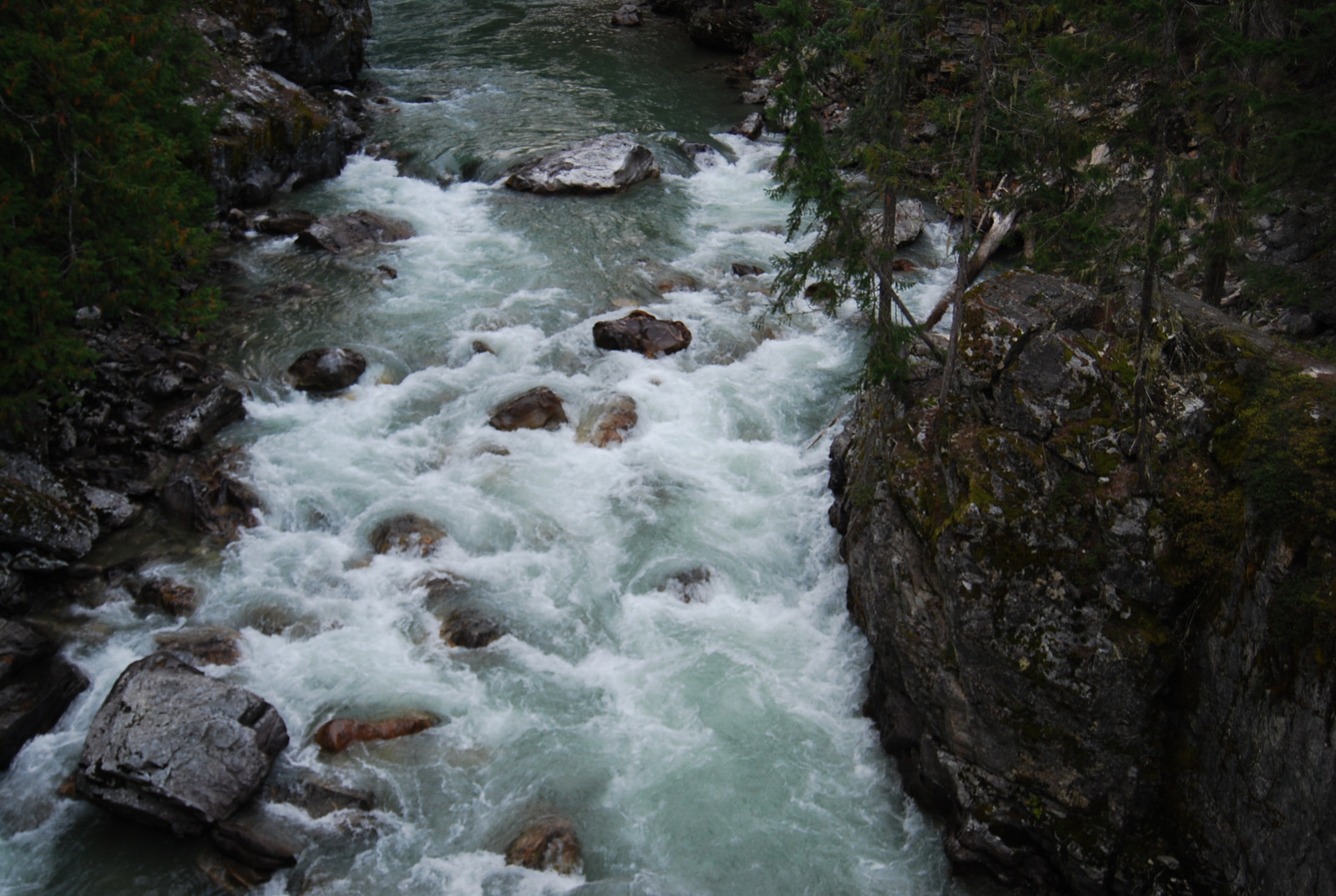 US13 0916 047 High Bridge, Stehekin Valley, WA