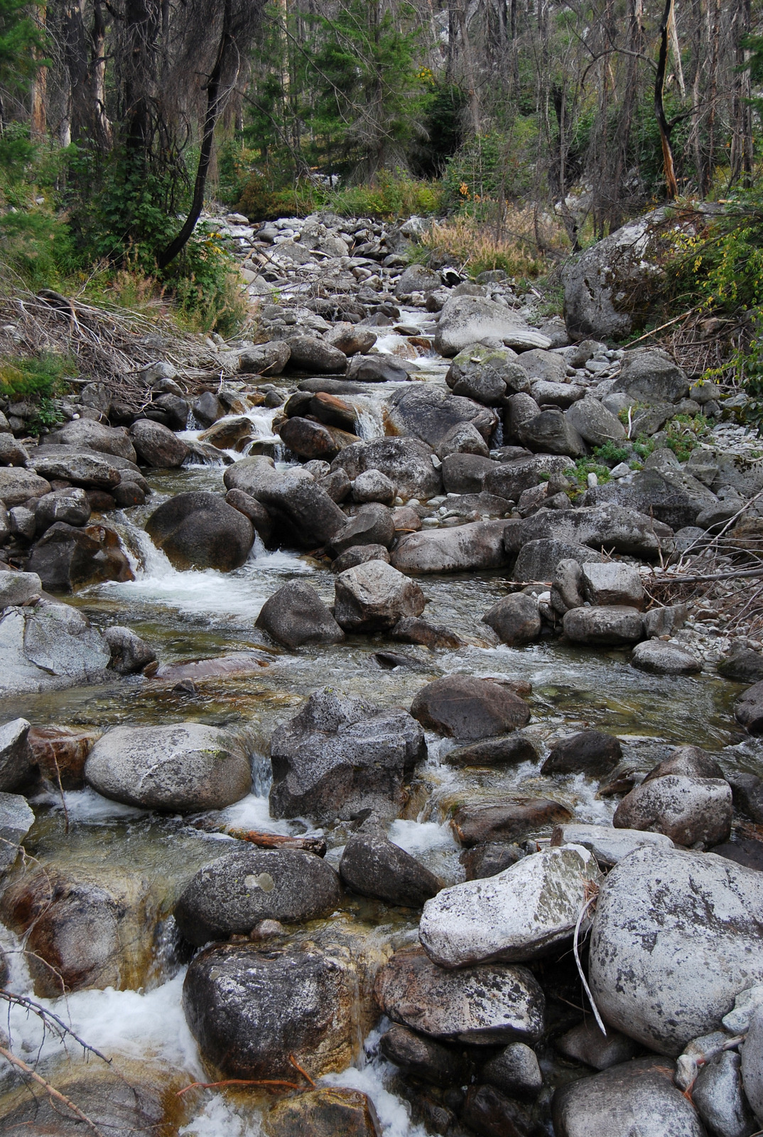 US13 0917 023 Rainbow Loop Trail, Stehekin, WA