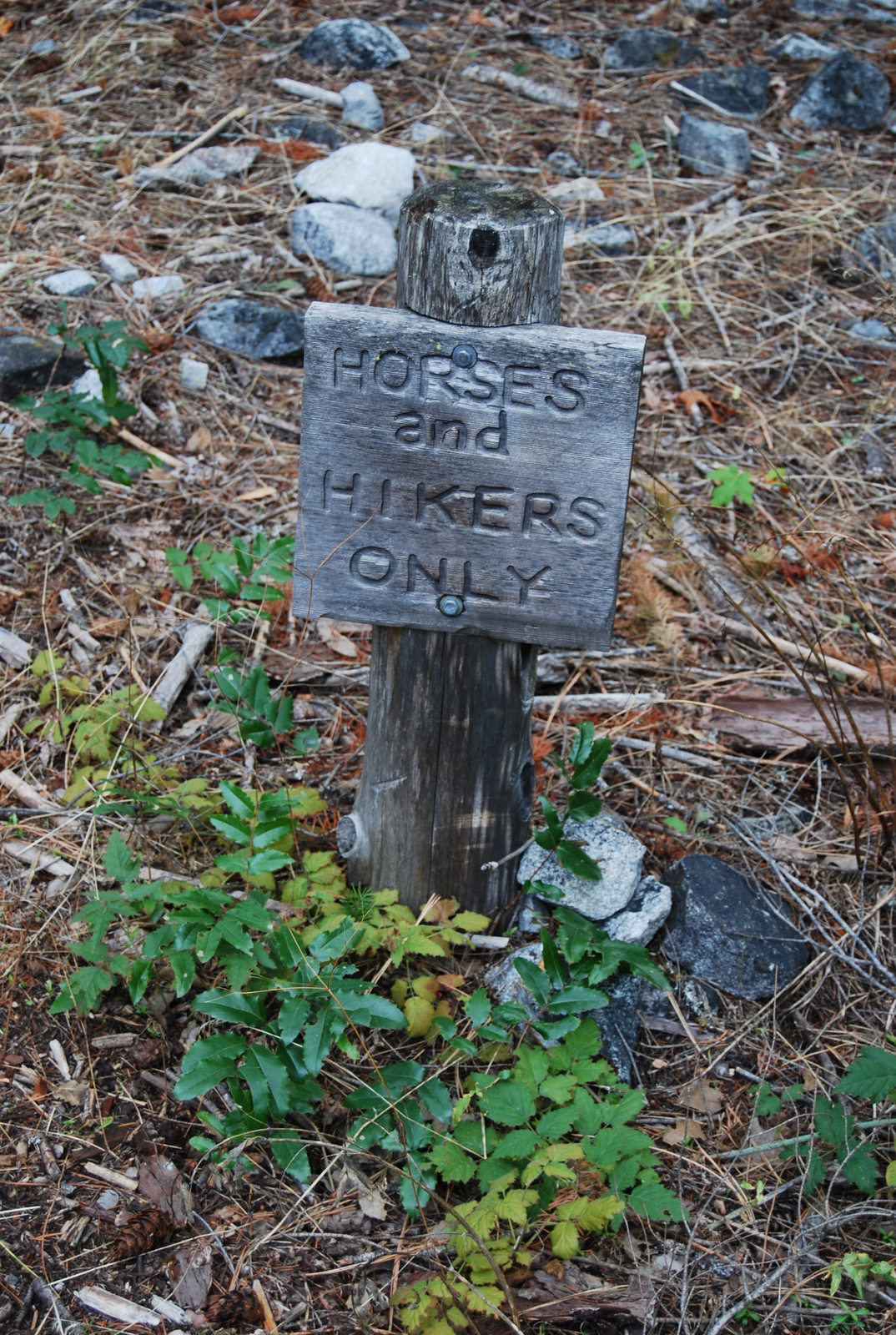 US13 0917 026 Rainbow Loop Trail, Stehekin, WA