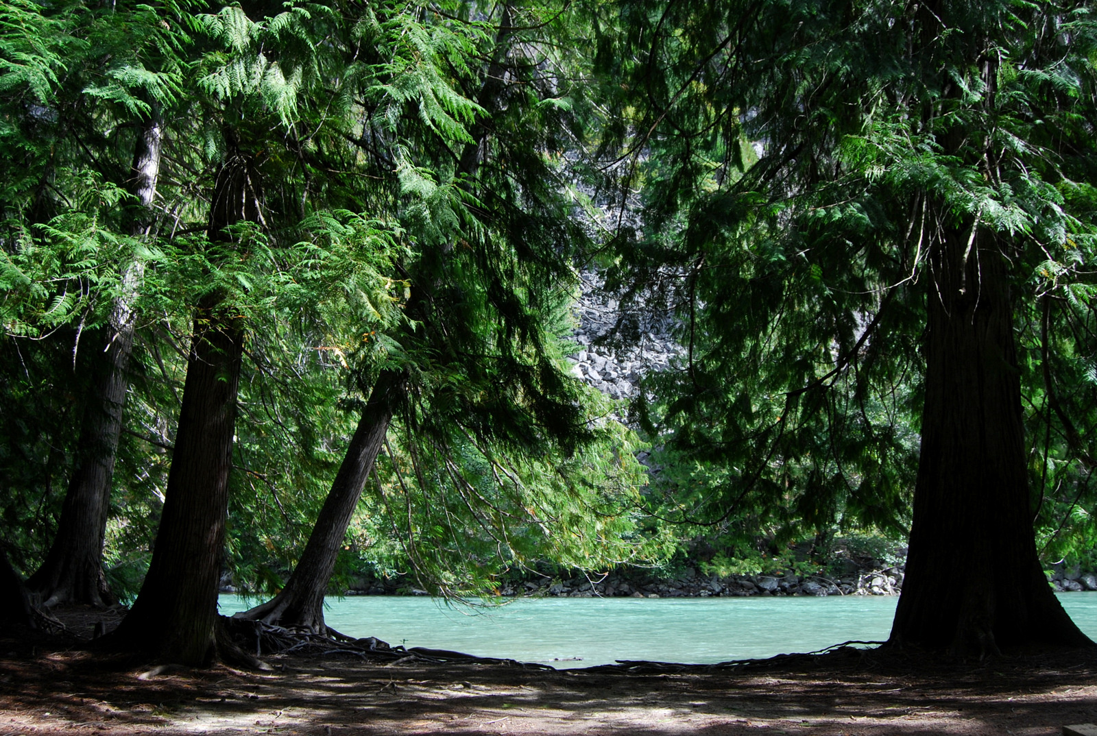 US13 0917 036 Rainbow Loop Trail, Stehekin, WA