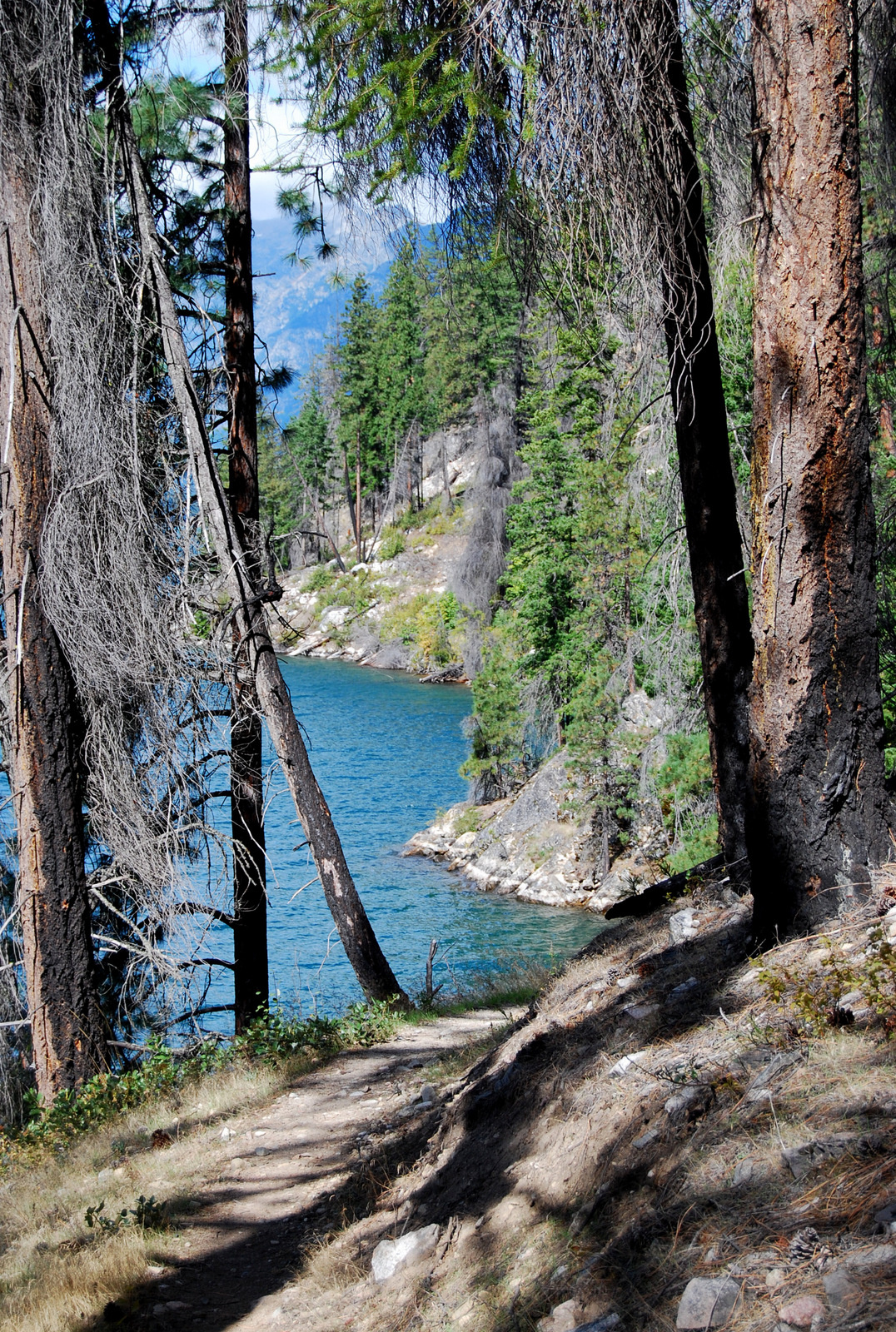 US13 0918 024 Lakeshore Trail, Stehekin, WA