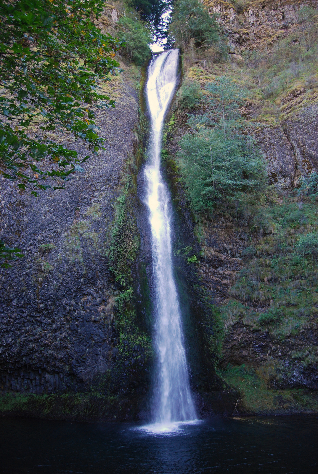 US13 0919 007 Horsetail Falls, Columbia River Gorge, OR