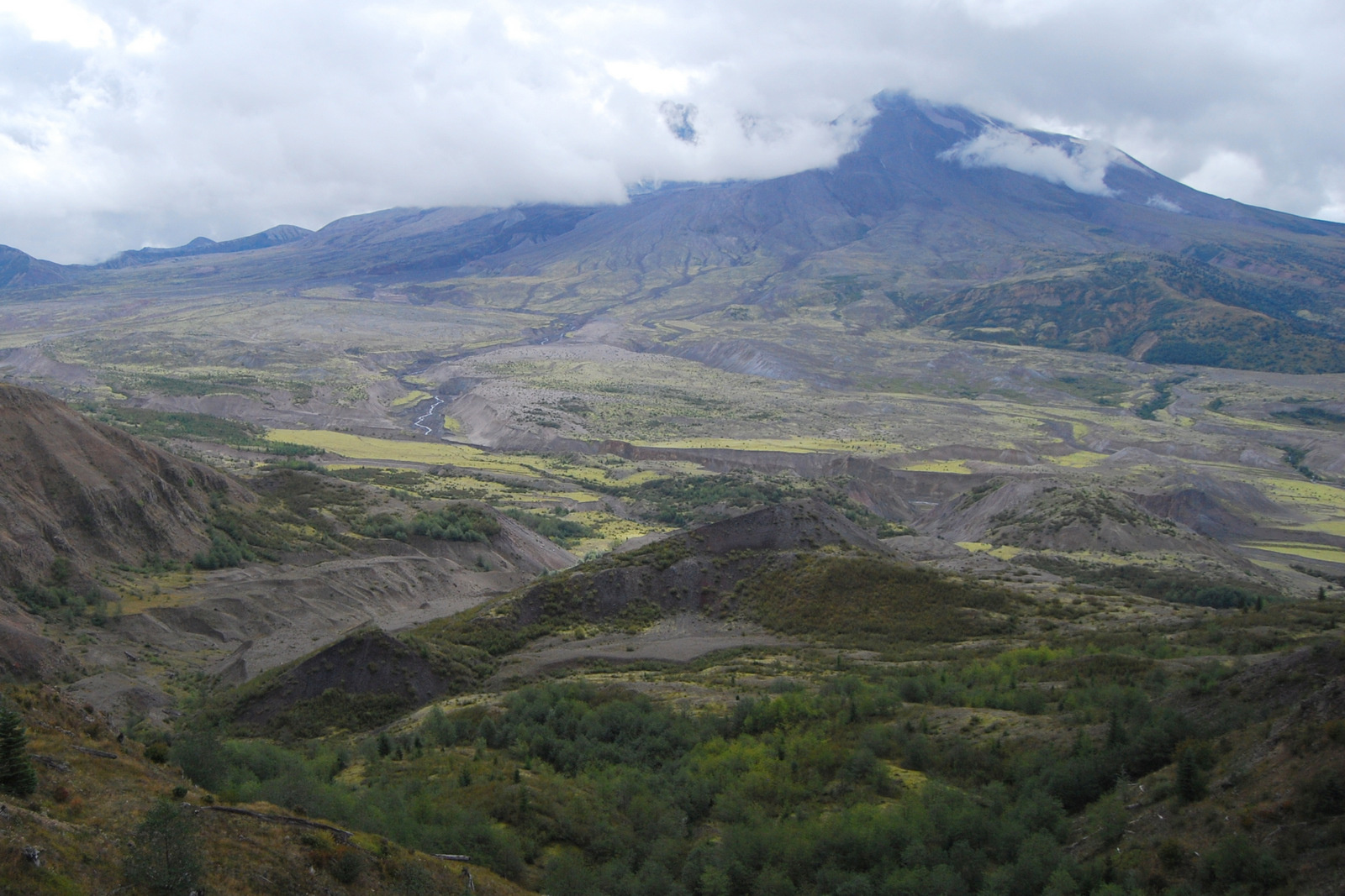 US13 0921 004 Mt.St.Helens NVM, WA