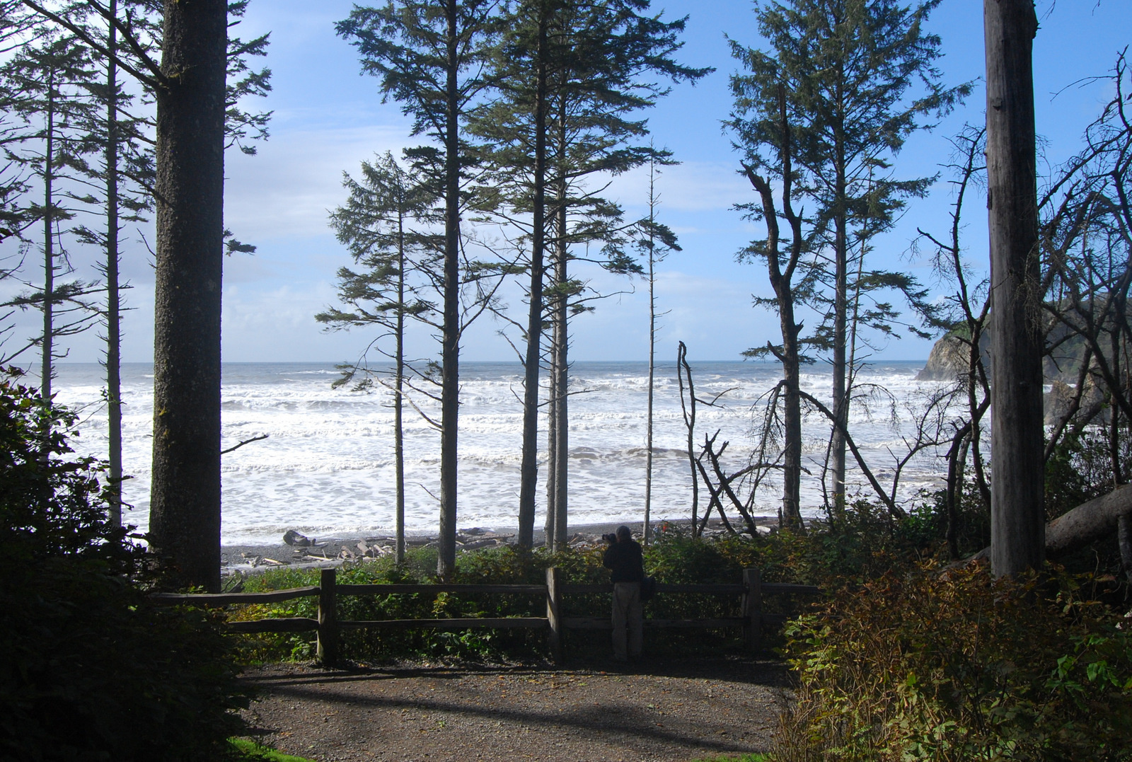 US13 0923 023 Ruby Beach, Olympic NP, WA