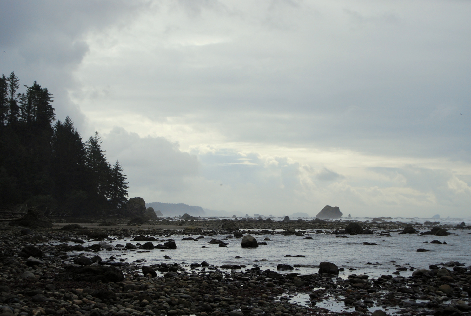 US13 0924 021 Pacific Coast Trail, Olympic NP, WA