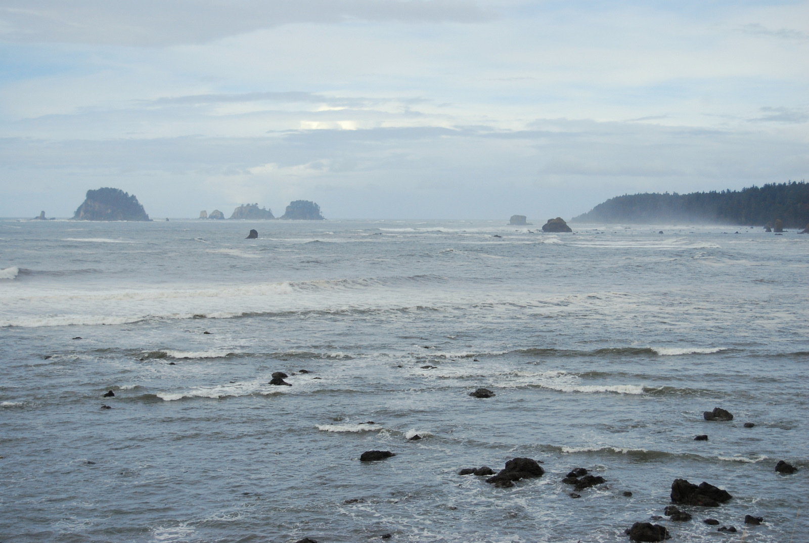 US13 0924 034 Pacific Coast Trail, Olympic NP, WA