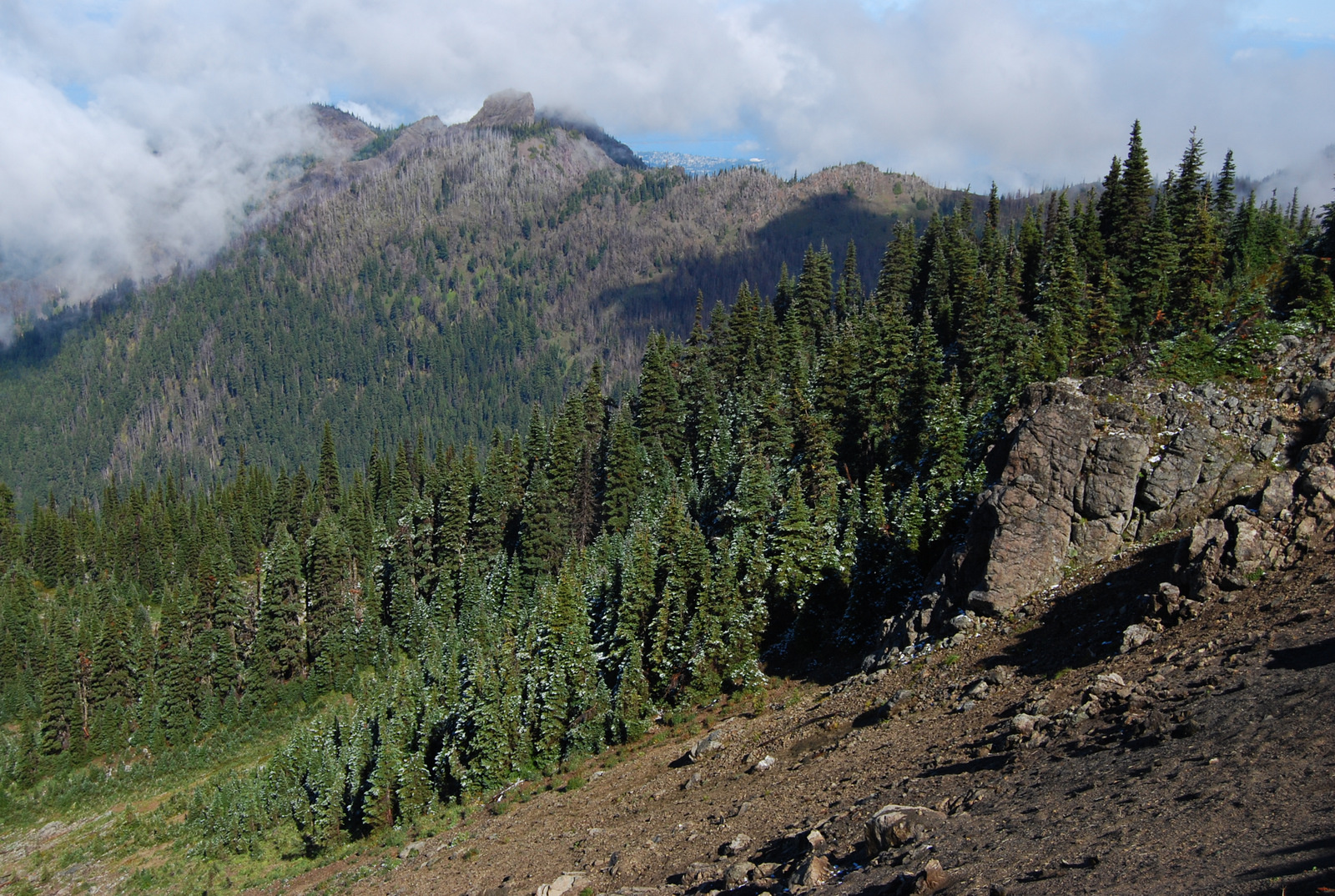 US13 0925 015 Hurricane Ridge, Olympic NP, WA