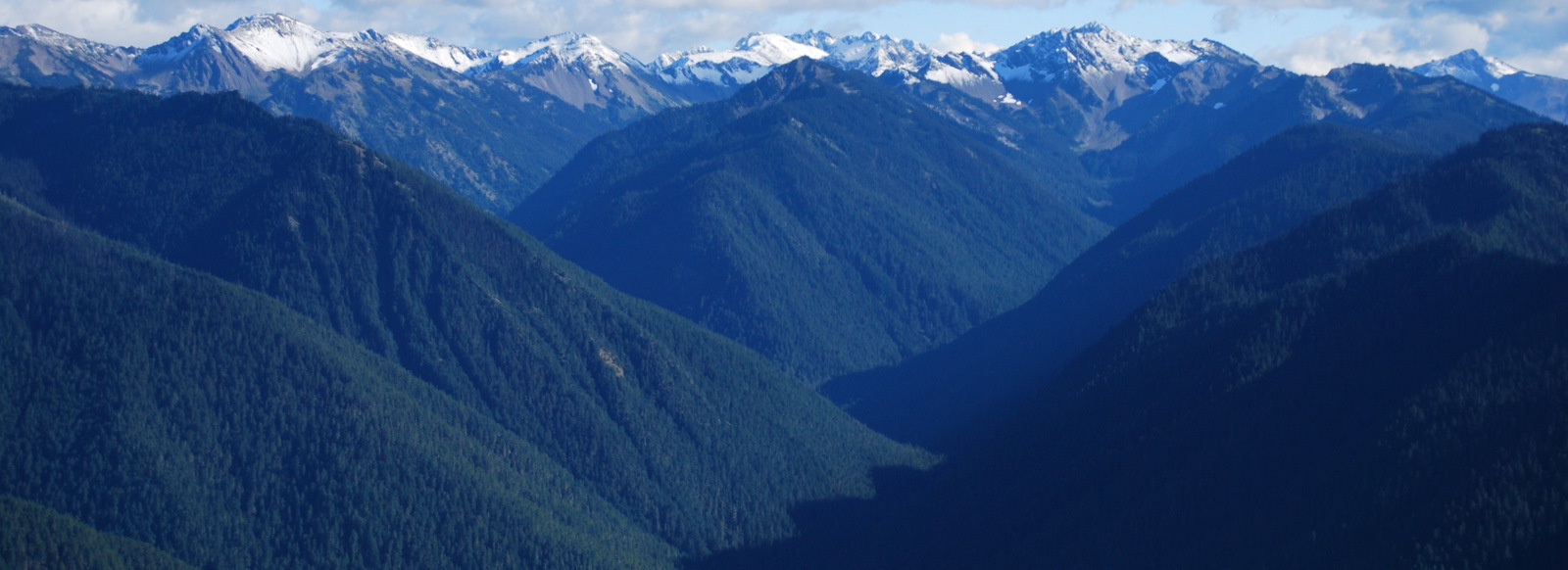 US13 0925 076 Hurricane Ridge, Olympic NP, WA