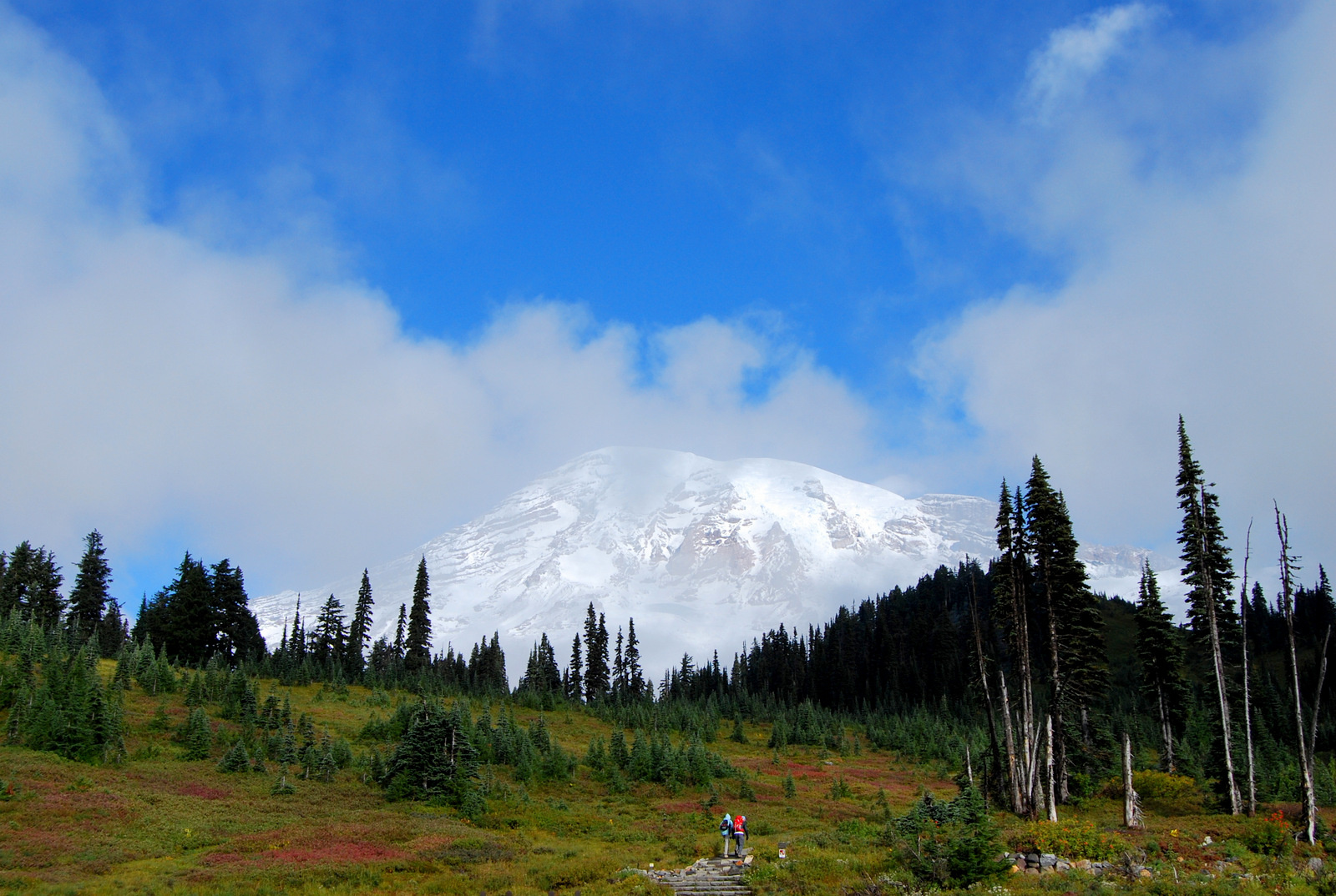 US13 0926 002 Mt.Rainier NP, WA