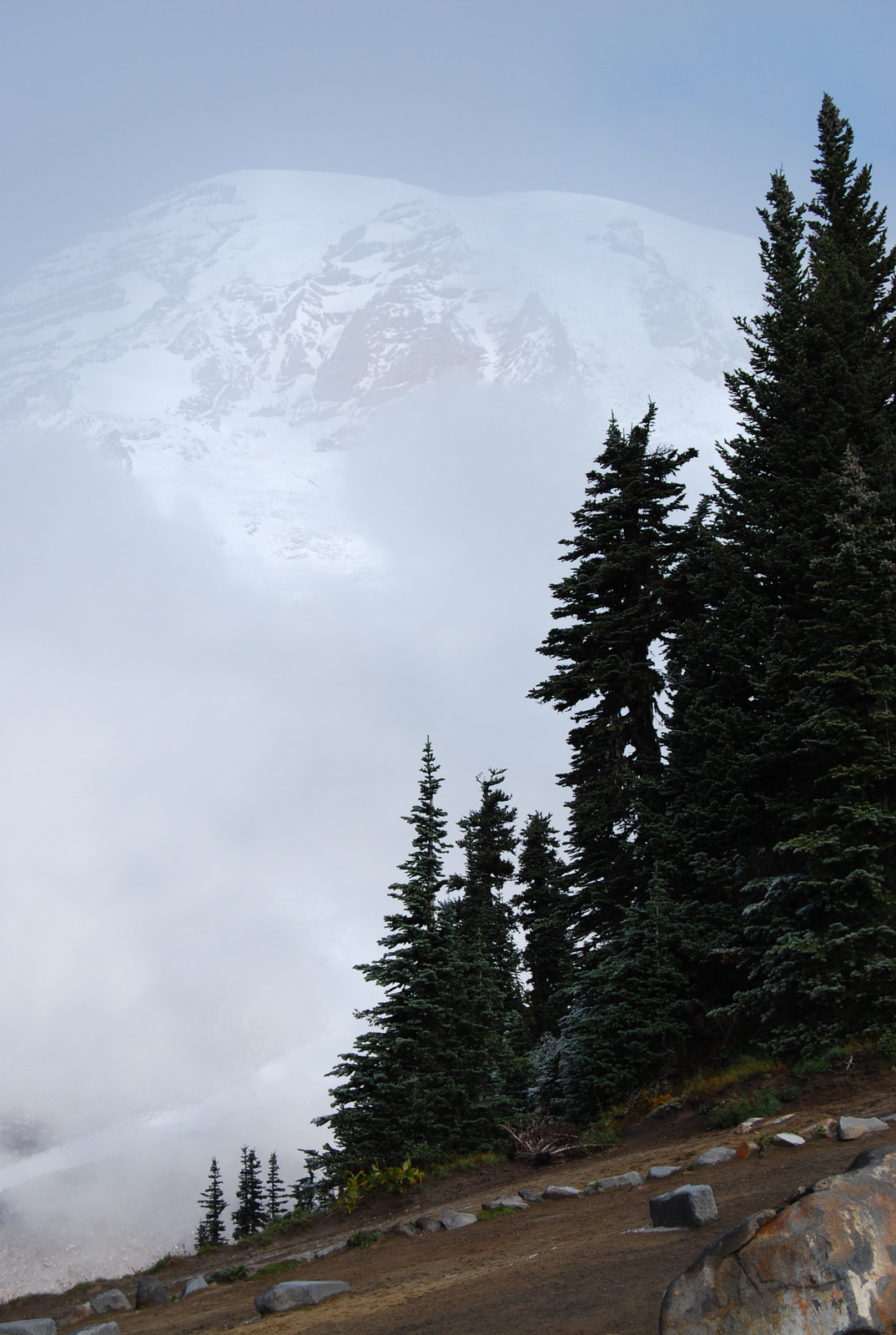 US13 0926 011 Mt.Rainier NP, WA