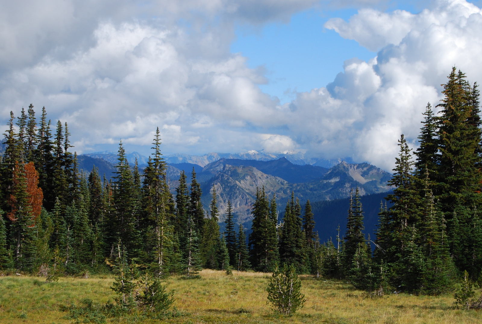 US13 0926 071 Mt.Rainier NP, WA