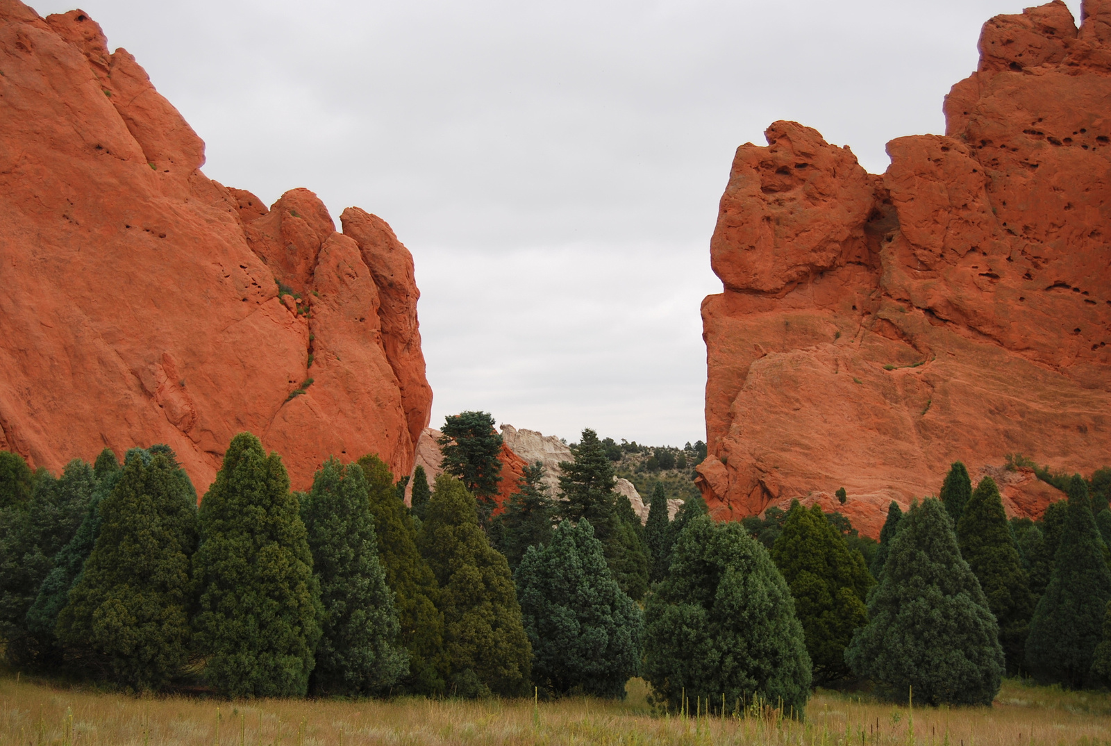 US14 0912 029 Garden Of The Gods, Colorado Springs, CO