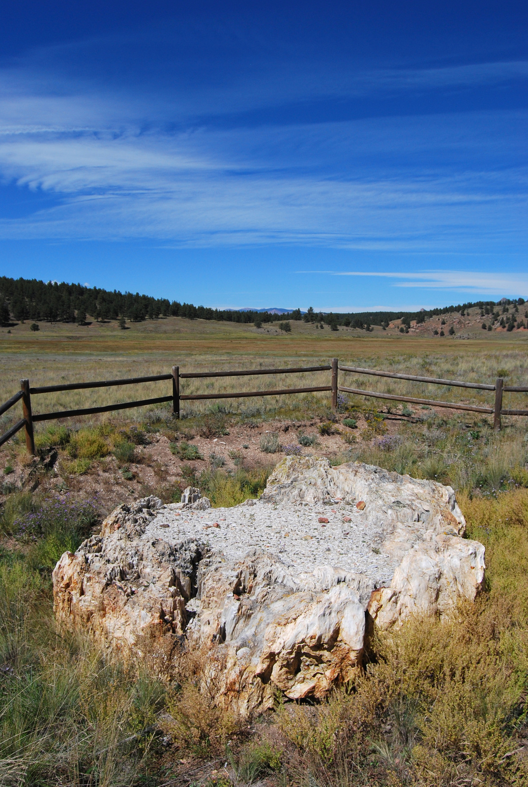 US14 0913 085 Florissant Fossil Beds NM, CO