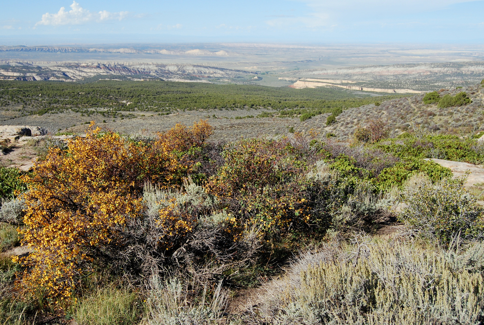 US14 0919 001 Harpers Corner Road, Dinosaur NM, CO