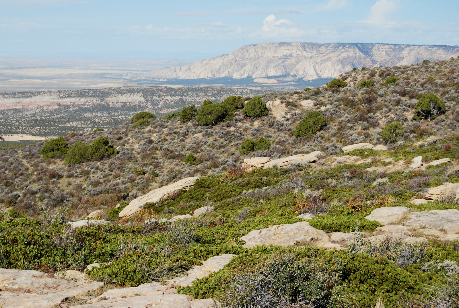 US14 0919 002 Harpers Corner Road, Dinosaur NM, CO