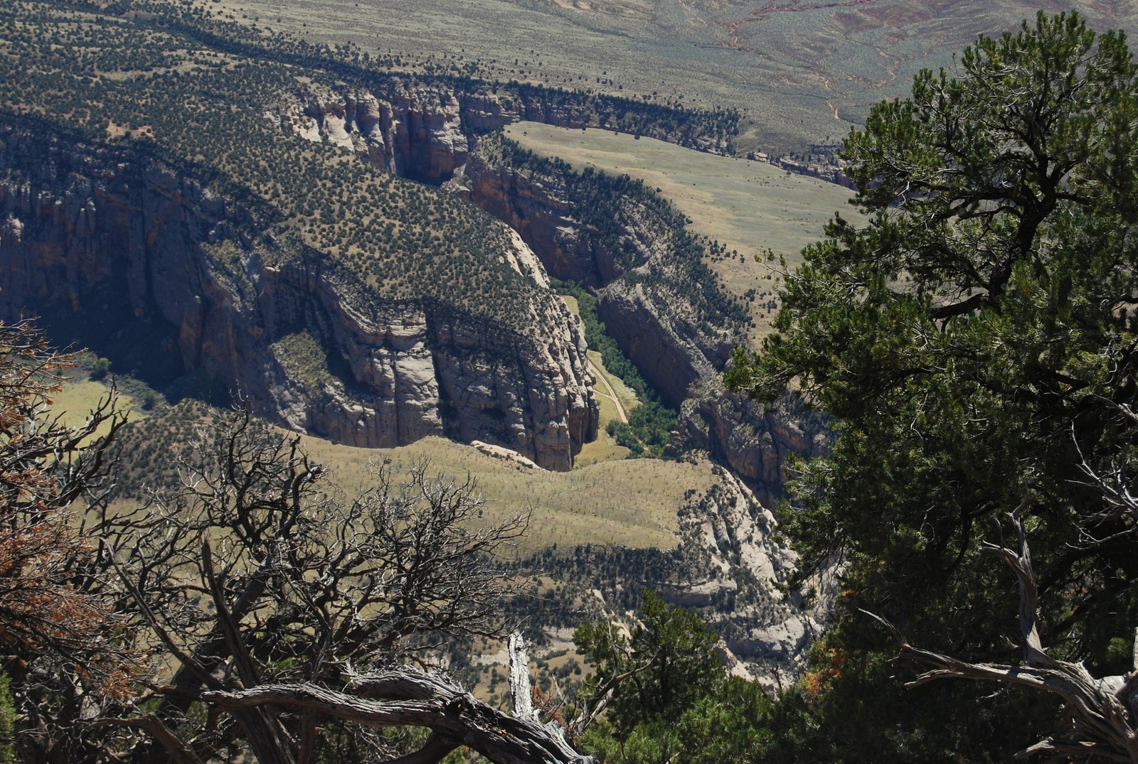 US14 0919 035 Harpers Corner Trail, Dinosaur NM, CO