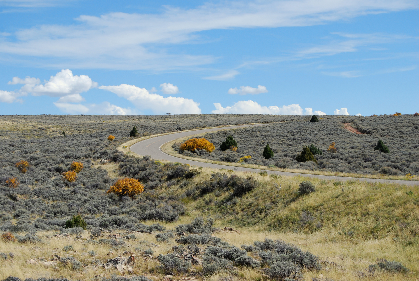 US14 0919 060 Harpers Corner Road, Dinosaur NM, CO