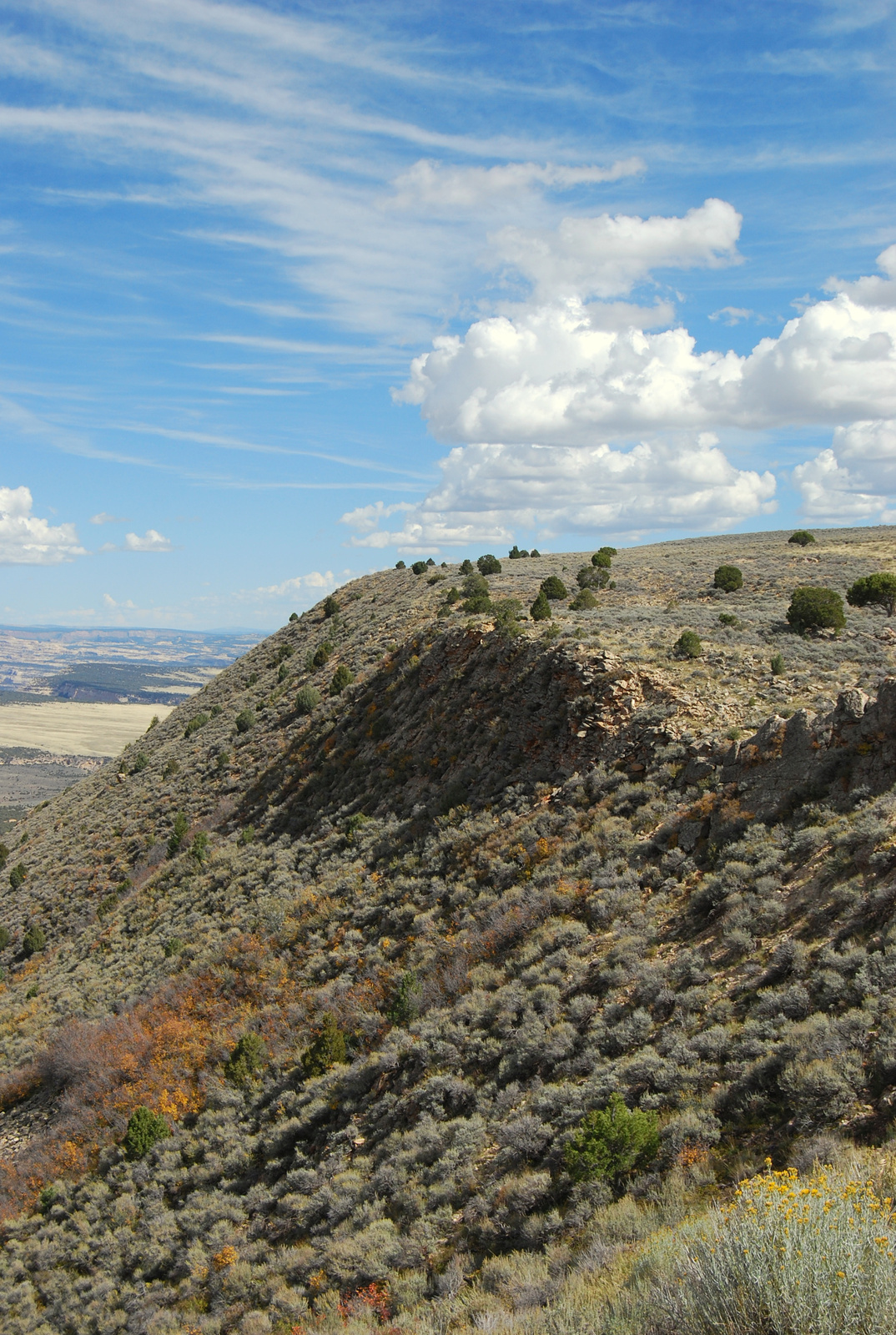 US14 0919 063 Harpers Corner Road, Dinosaur NM, CO