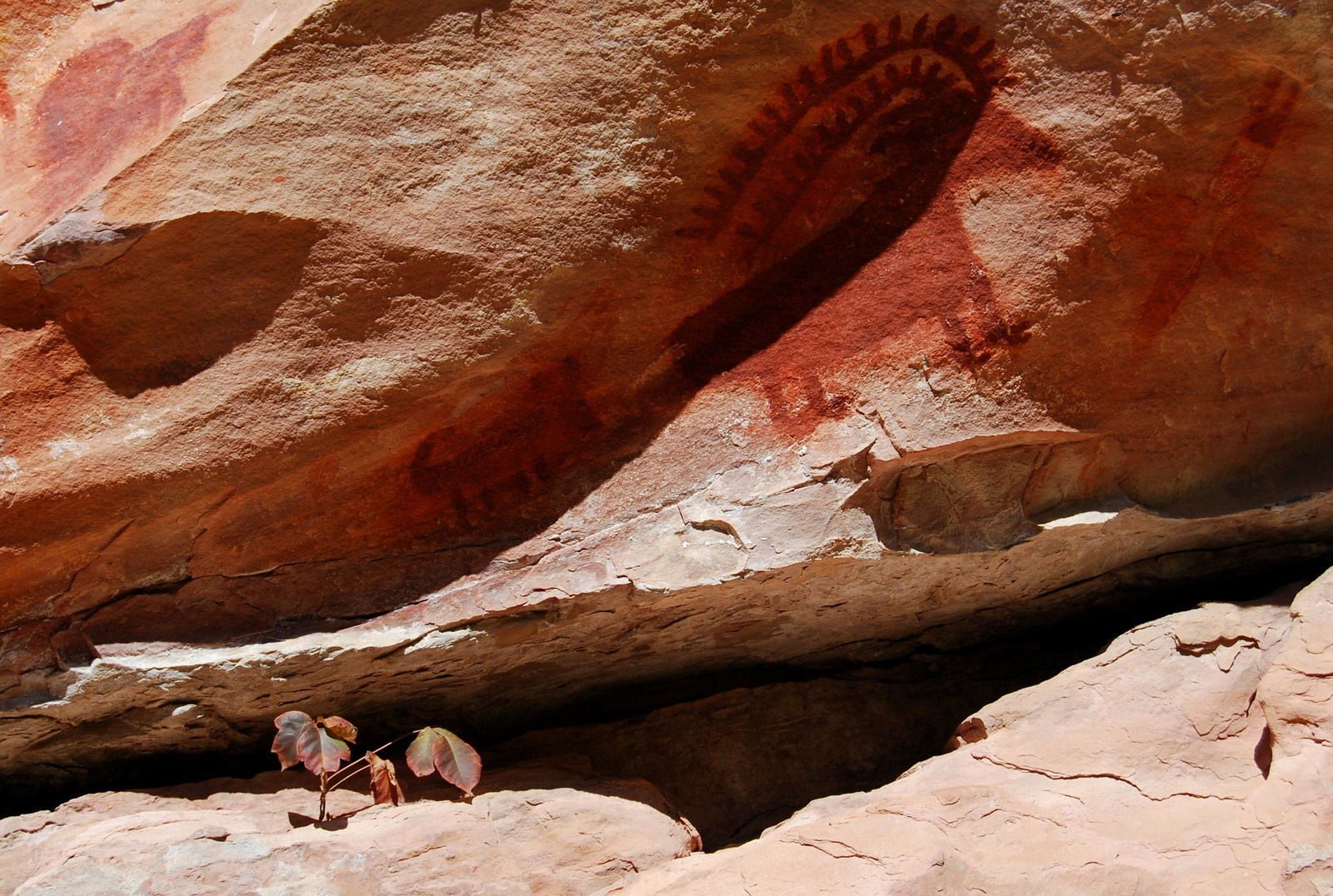 US14 0920 013 Jones Hole Trail, Dinosaur NM, UT