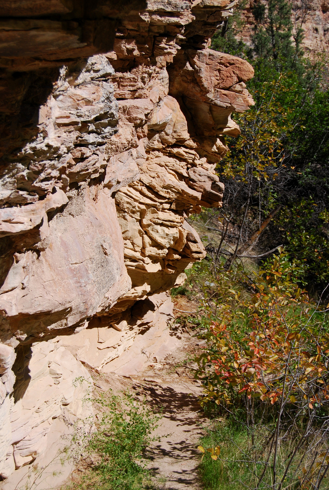 US14 0920 017 Jones Hole Trail, Dinosaur NM, UT