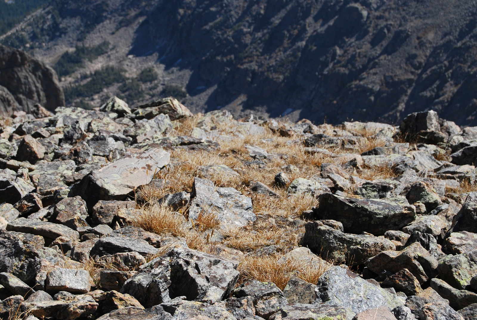 US14 0924 026 Rocky Mountains NP, CO