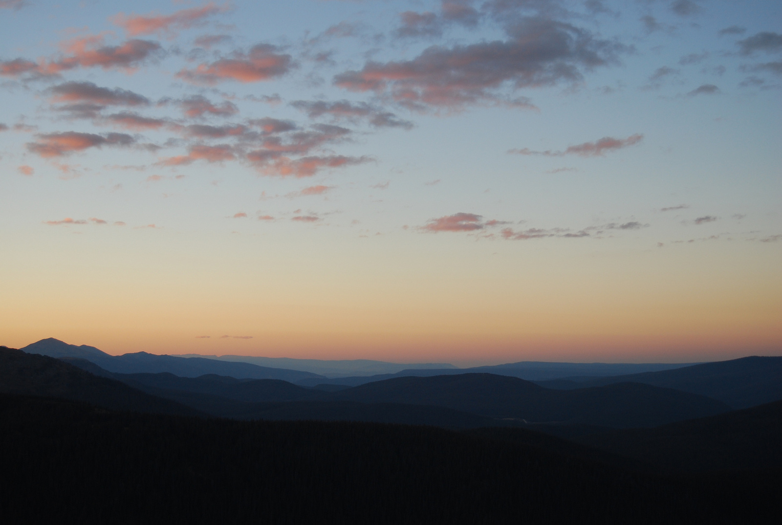 US14 0925 078 Trail Ridge Road, Rocky Mtn NP, CO