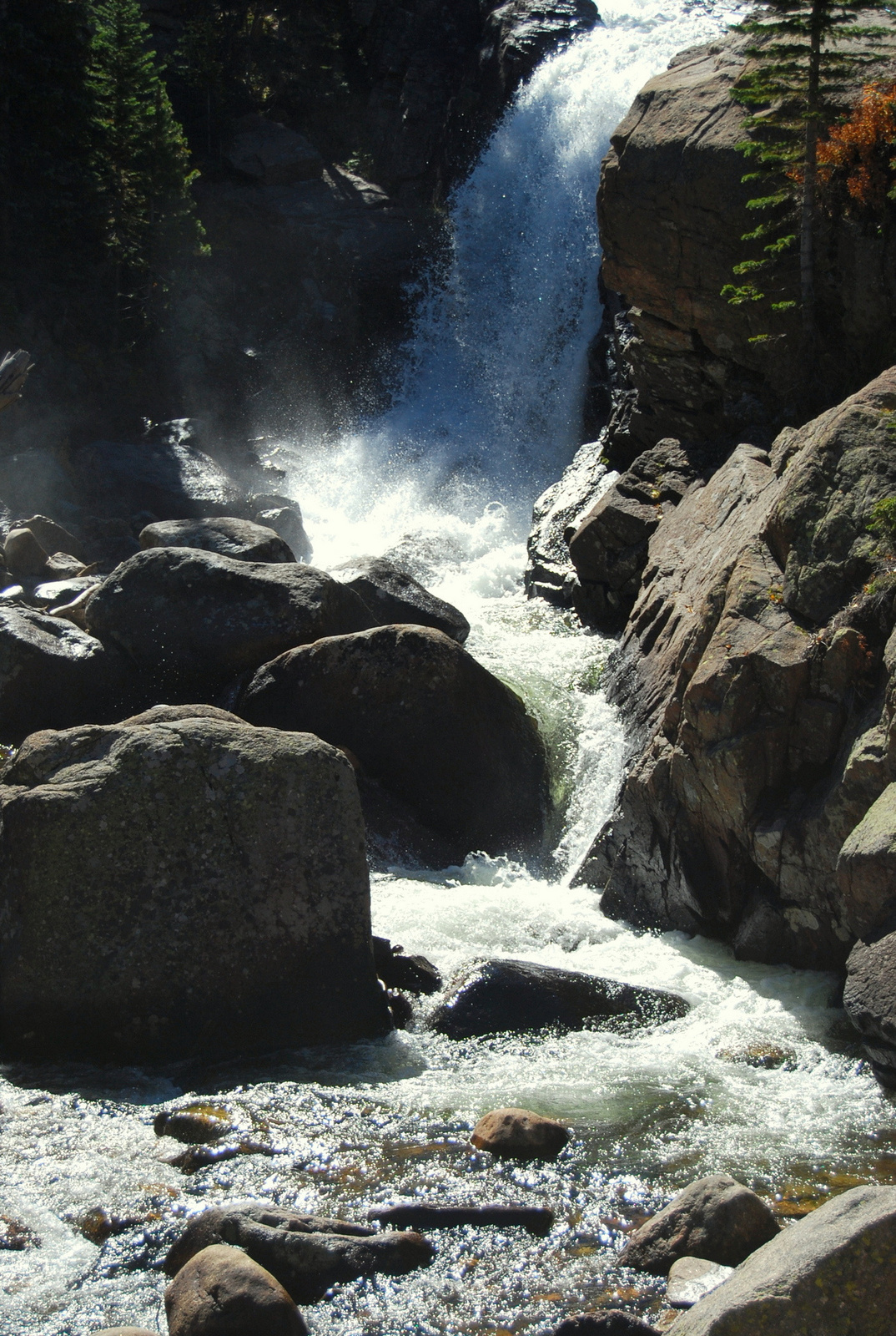 US14 0925 001 Glacier Gorge Trail, Rocky Mtn NP, CO