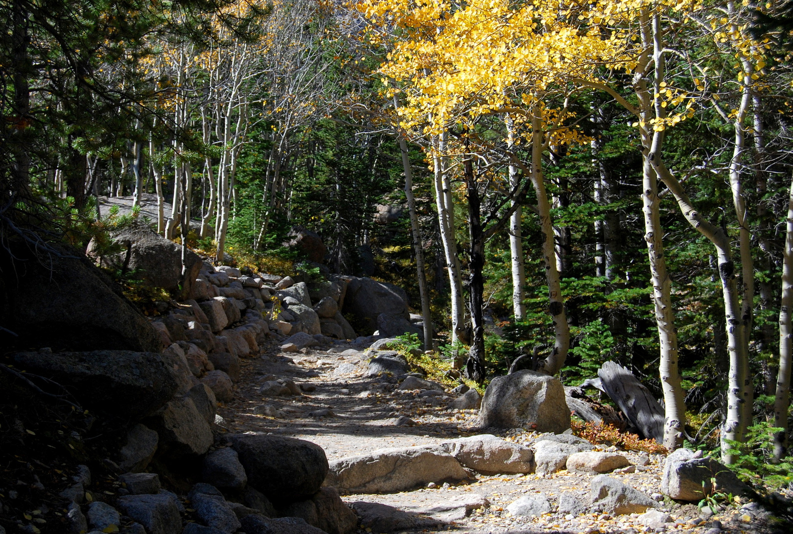 US14 0925 005 Glacier Gorge Trail, Rocky Mtn NP, CO