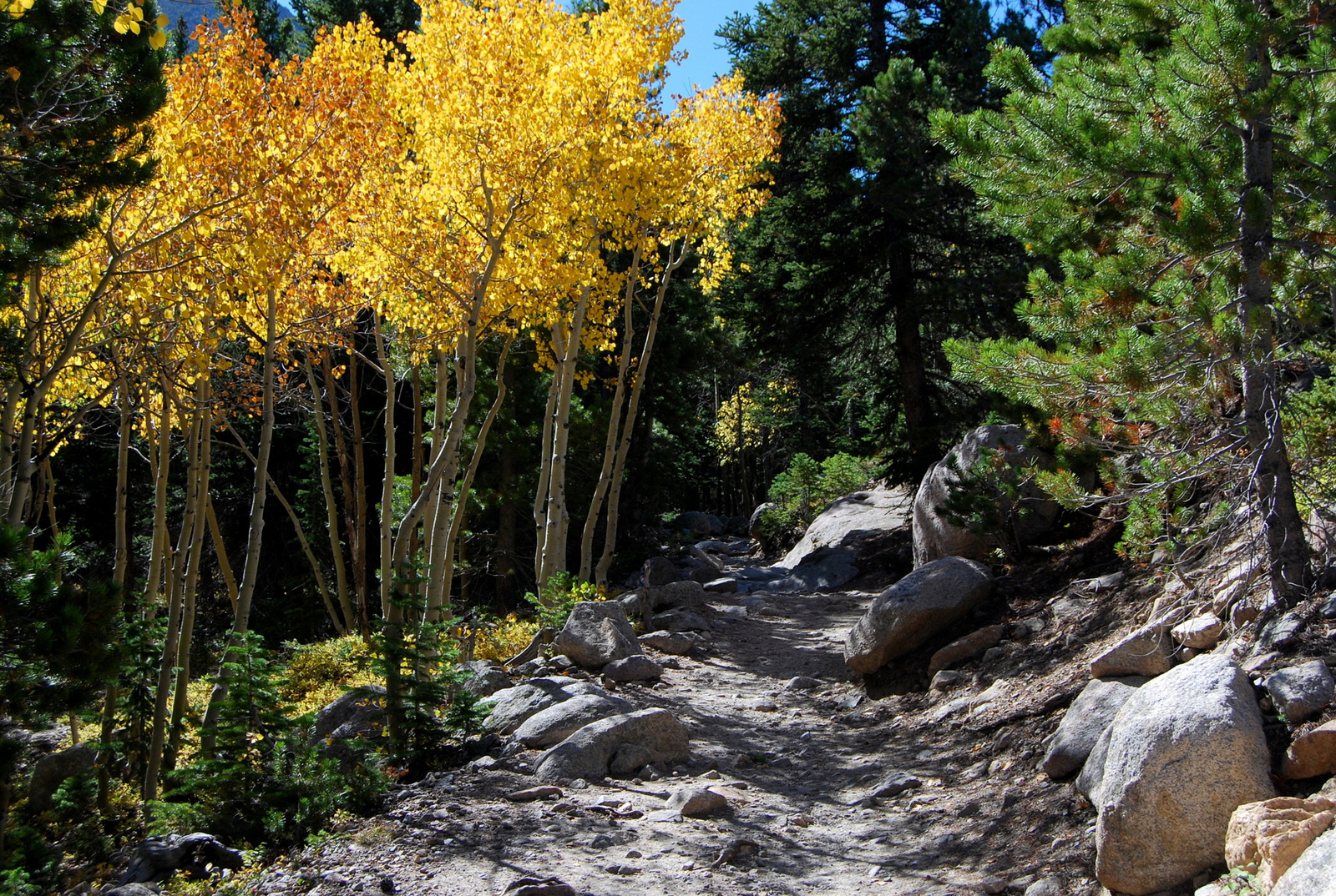 US14 0925 006 Glacier Gorge Trail, Rocky Mtn NP, CO