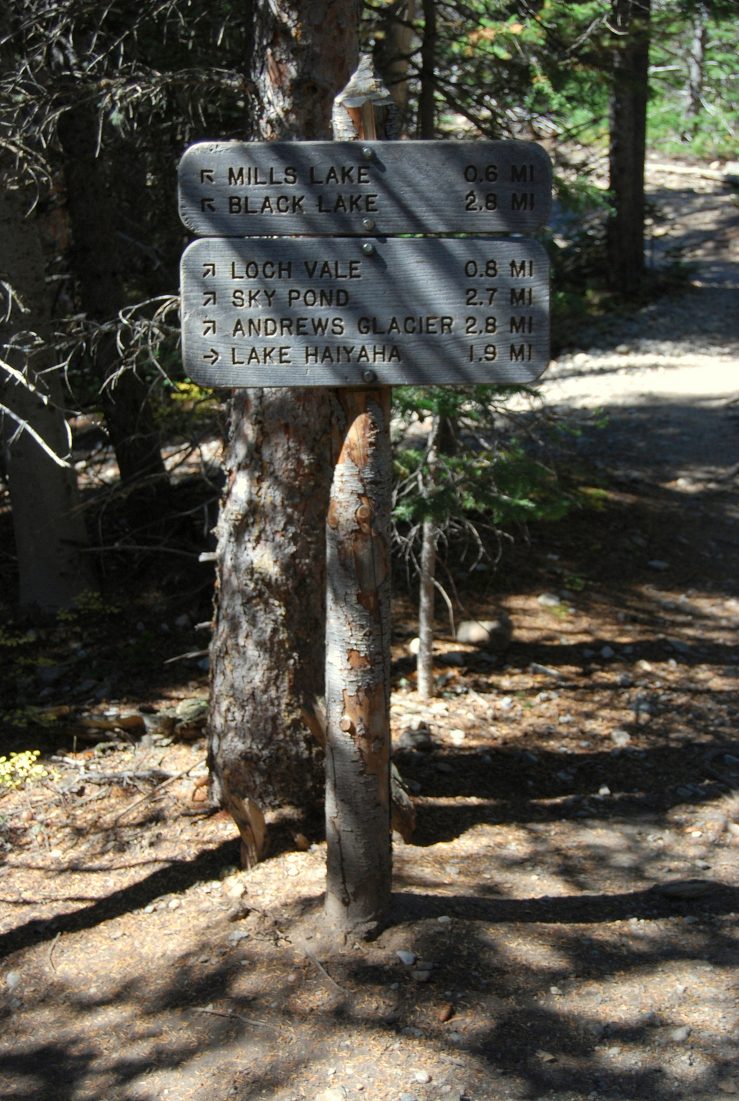 US14 0925 014 Glacier Gorge Trail, Rocky Mtn NP, CO