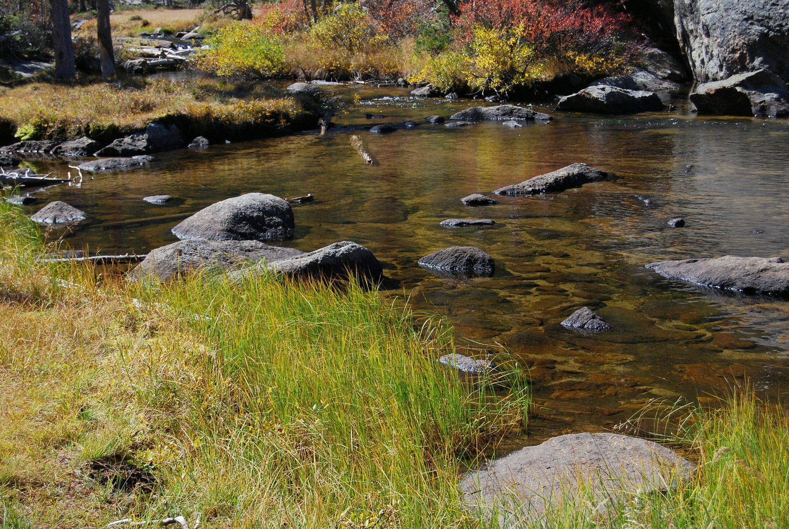 US14 0925 020 Glacier Gorge Trail, Rocky Mtn NP, CO