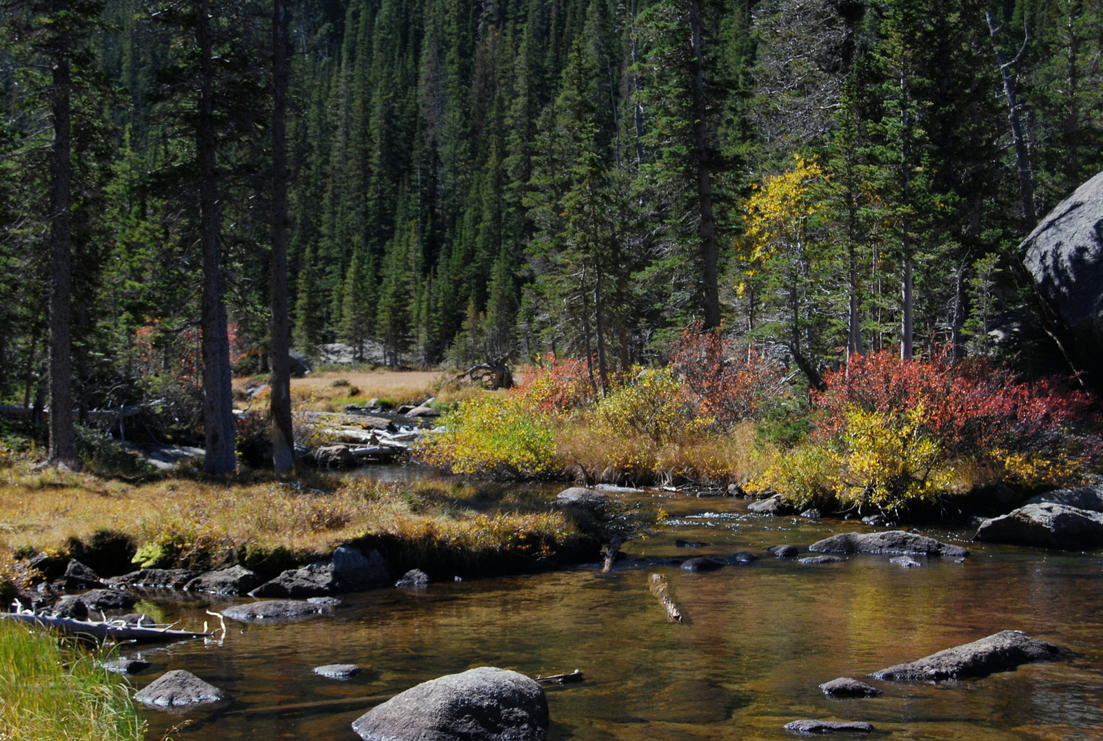 US14 0925 021 Glacier Gorge Trail, Rocky Mtn NP, CO