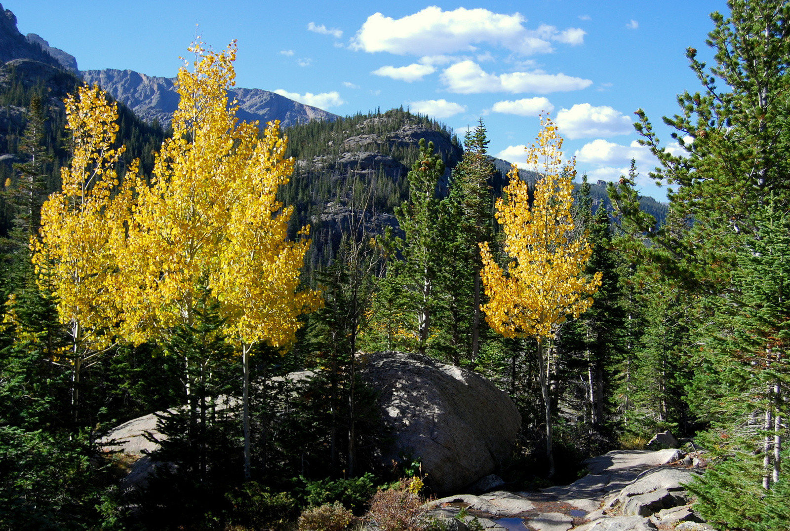 US14 0925 046 Glacier Gorge Trail, Rocky Mtn NP, CO