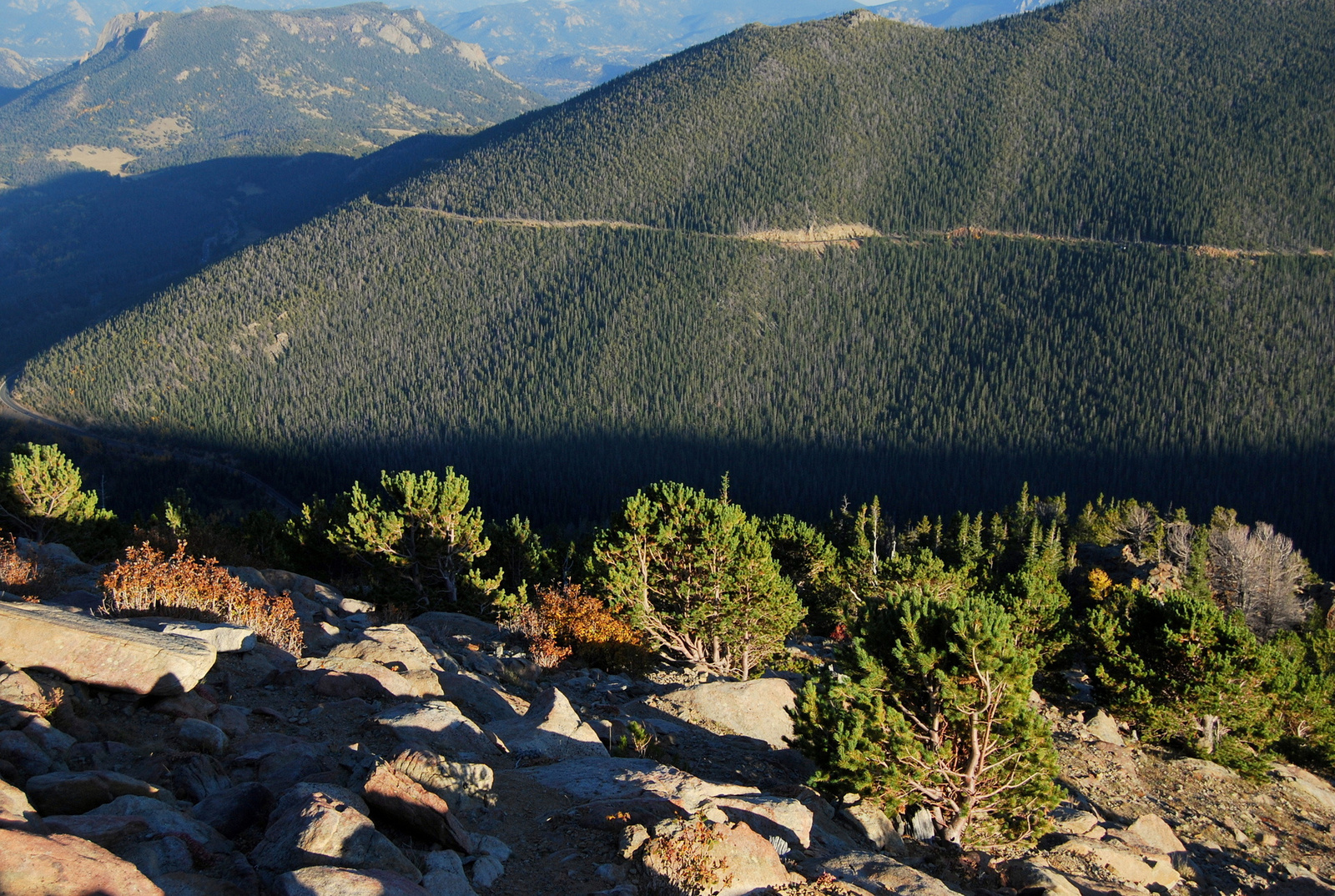 US14 0925 054 Trail Ridge Road, Rocky Mtn NP, CO