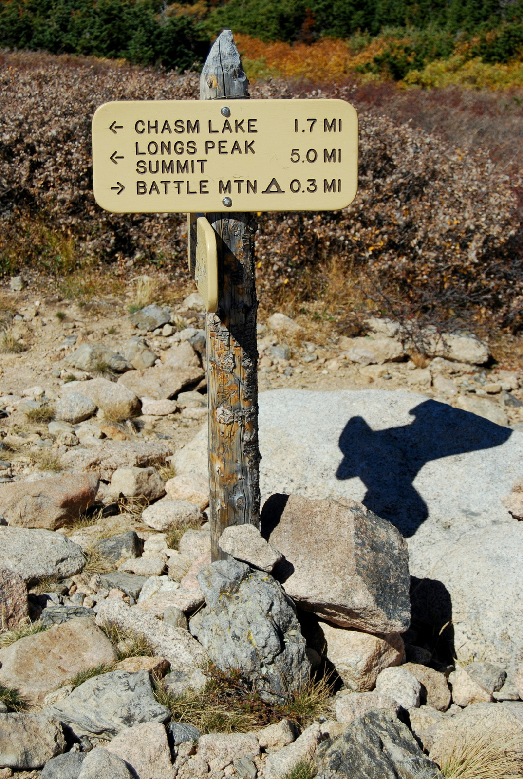 US14 0926 004 Chasm Lake Trail, Rocky Mtn NP, CO